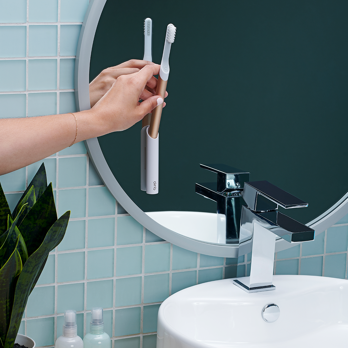 Quip Oral Care