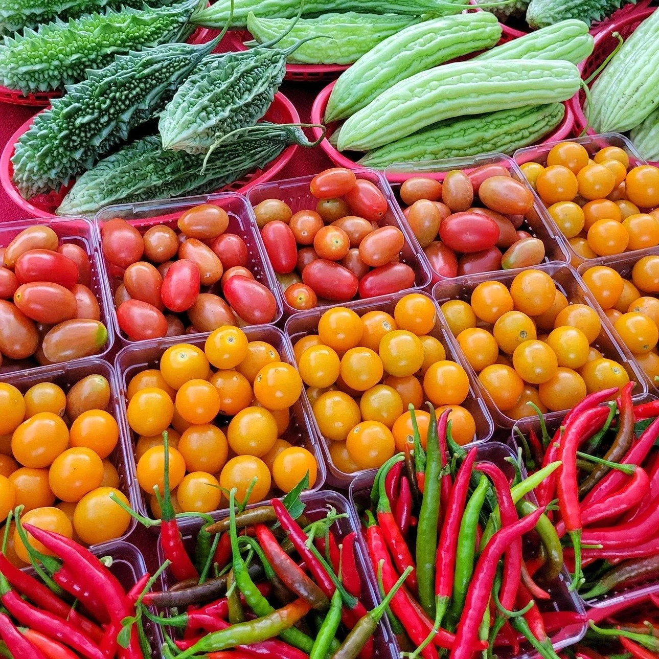 SummerFarmersMarket.jpg