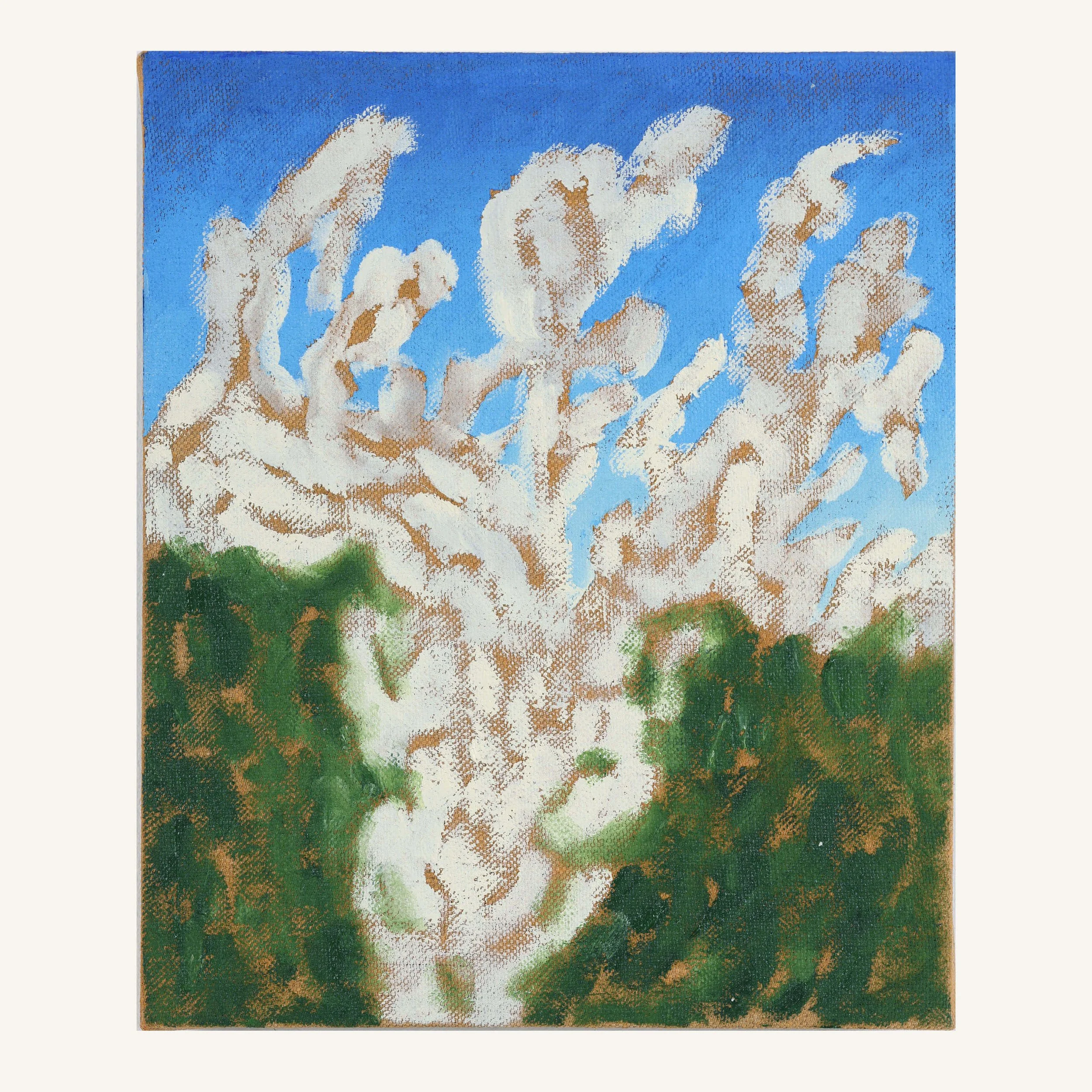 Pogled gore, 30x25 cm, Alba Miočev