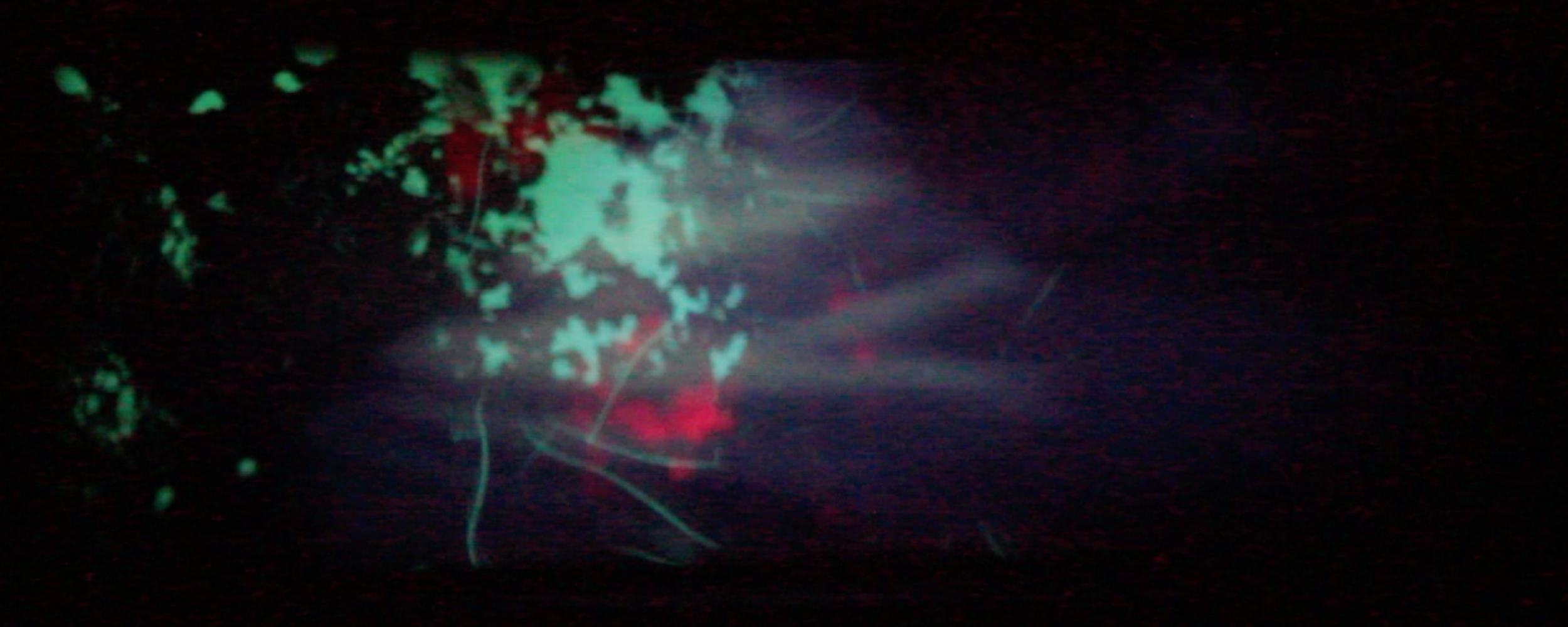ebb and flow 5.png