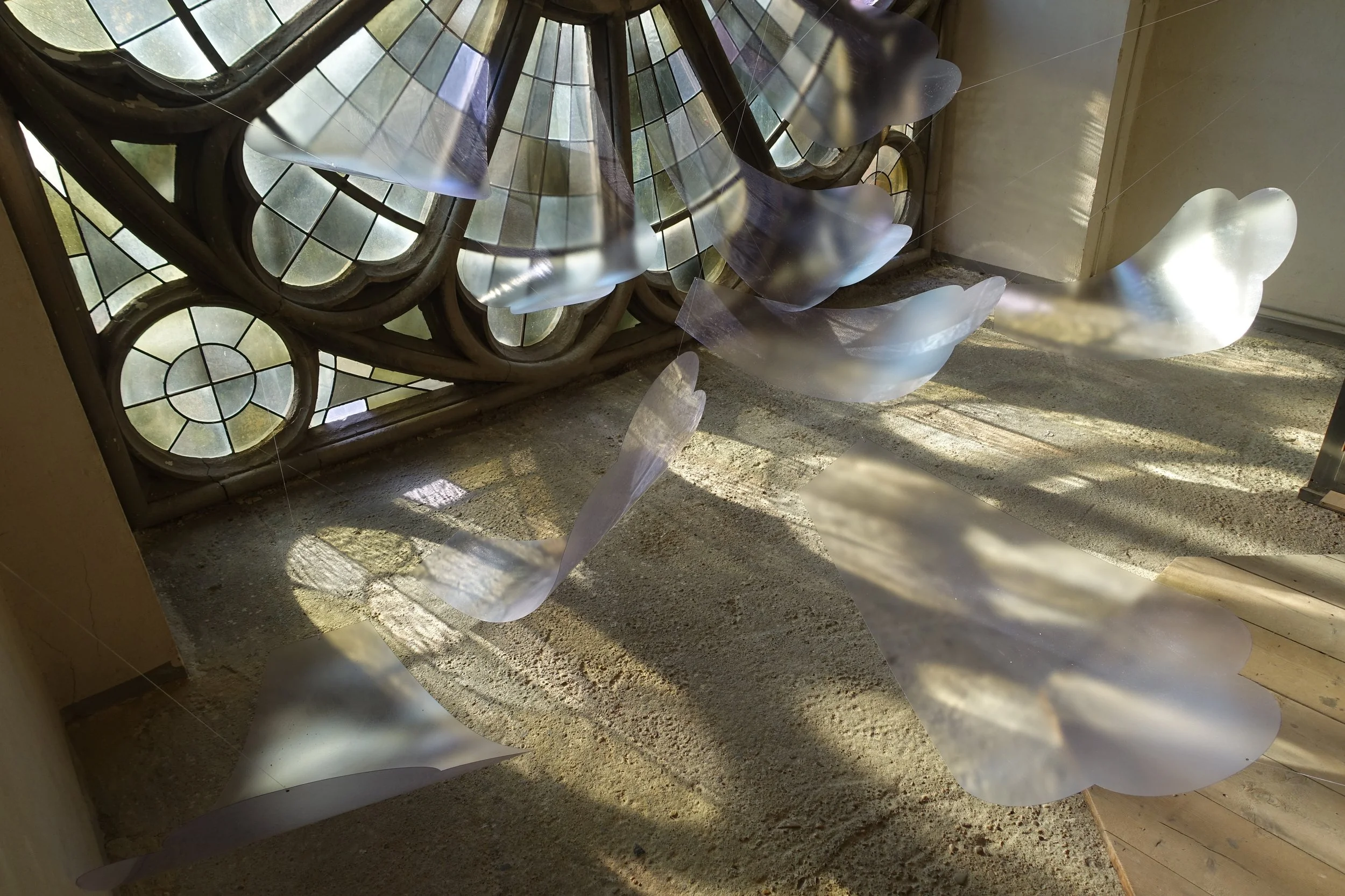 Krefeld, Gemany 2015..jpeg