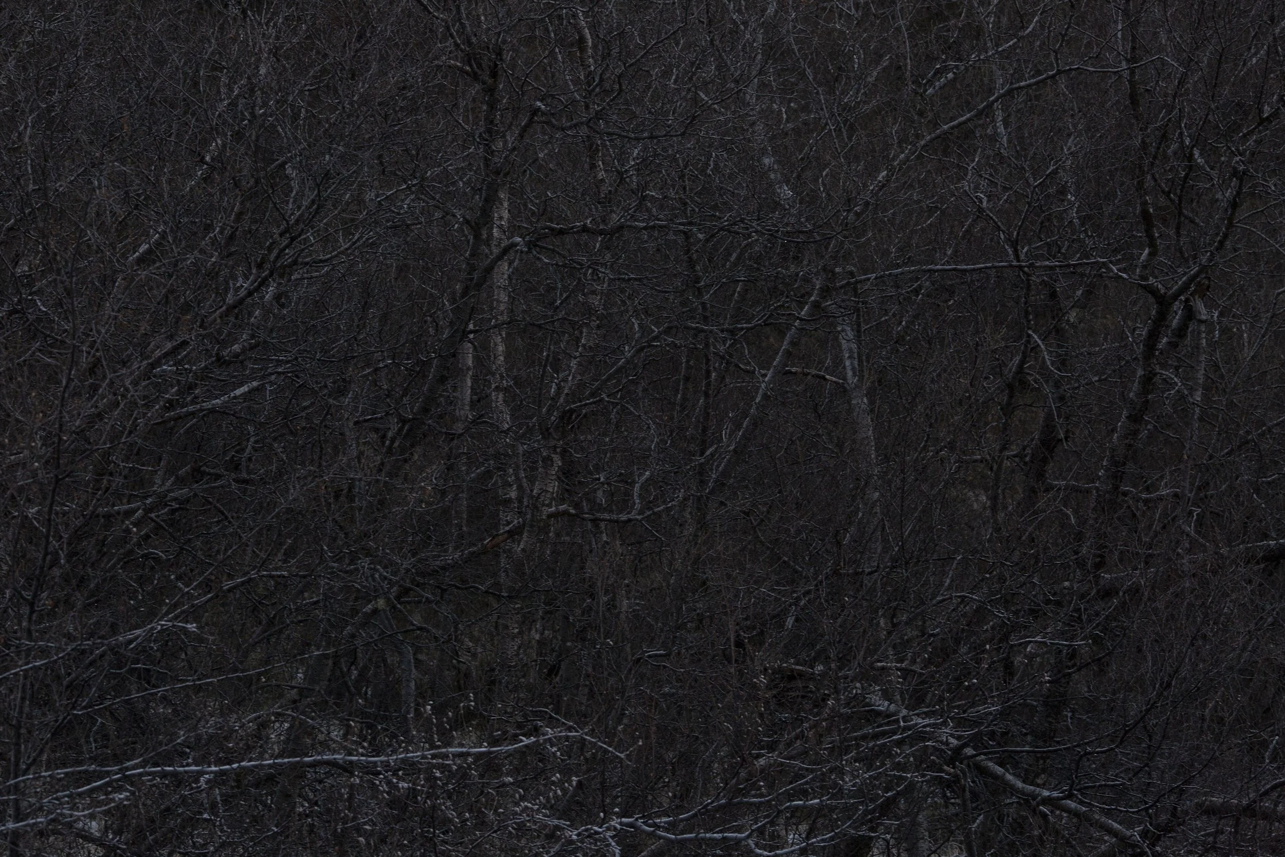 @christinegisla.is -1.jpeg