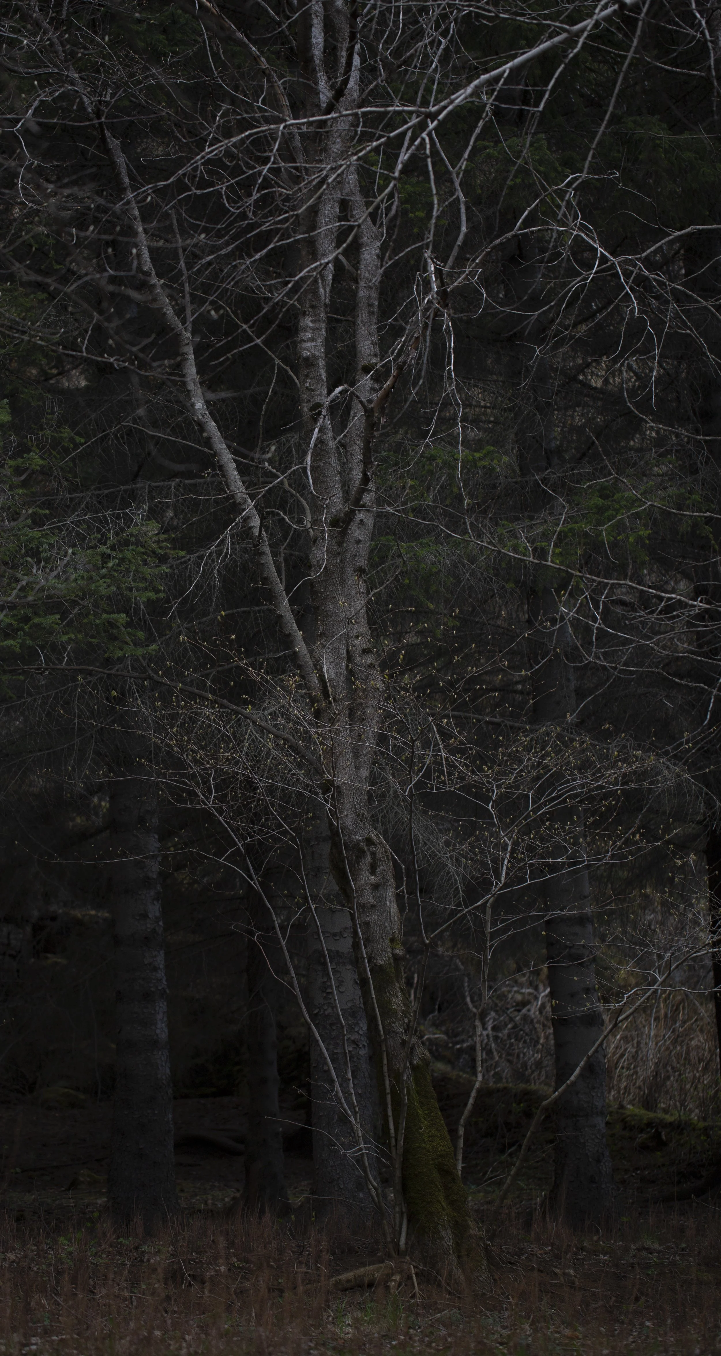 @christinegisla.is -4.jpeg