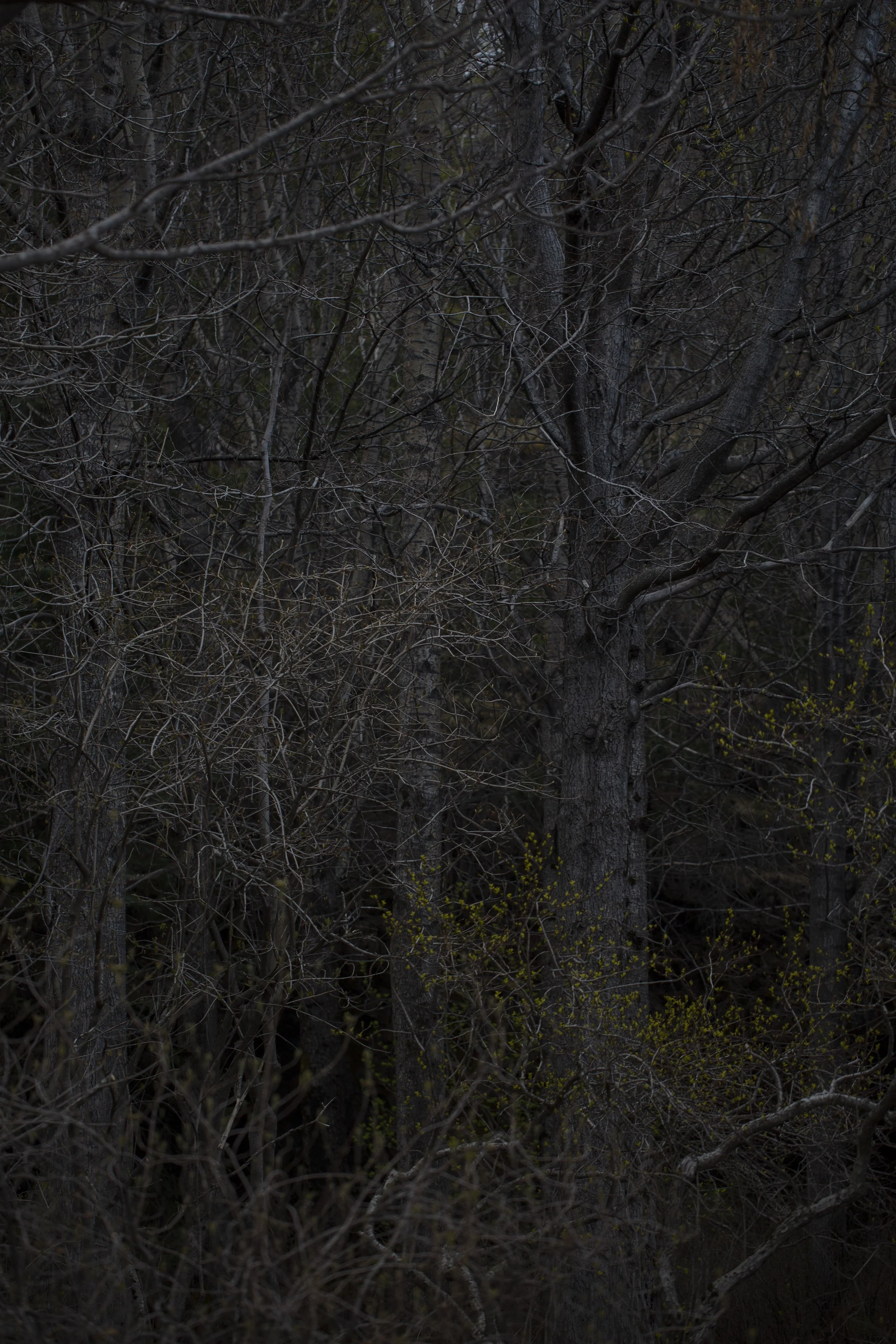 @christinegisla.is -6 copy.jpeg