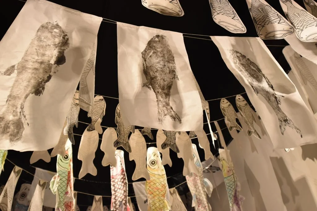 Lewison-reshaping the shape 2019.jpeg