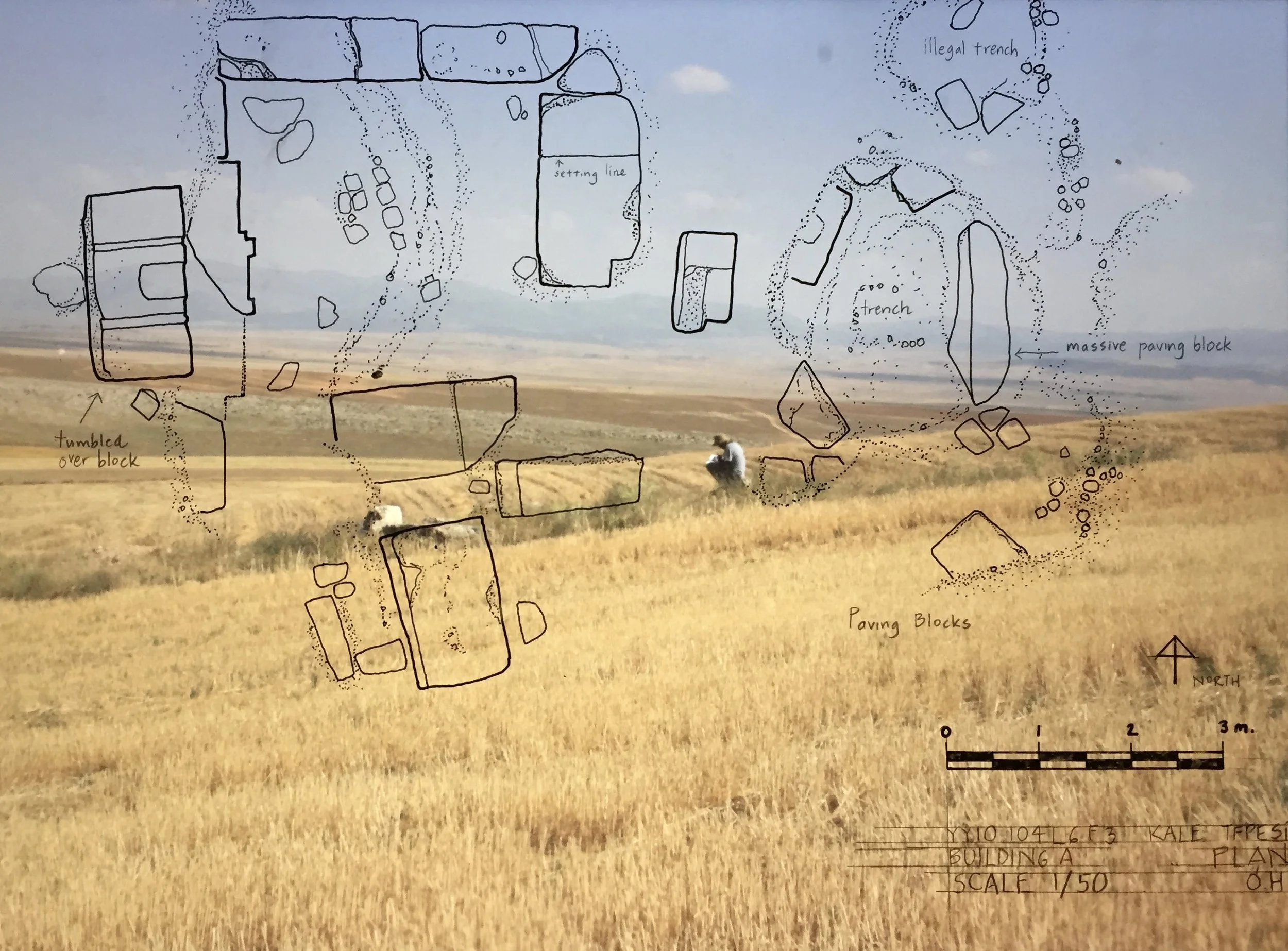 Drum Bochay fullsizeoutput_345.jpeg