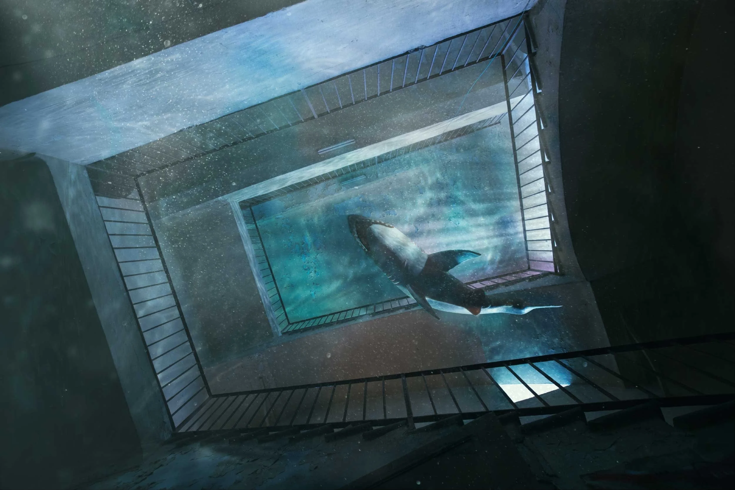 Nicola Malnato image_6483441 8.jpeg