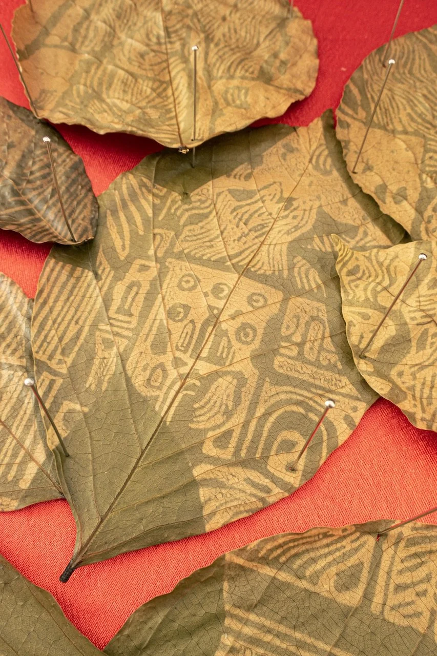 IMG_2367 sadauto.jpeg