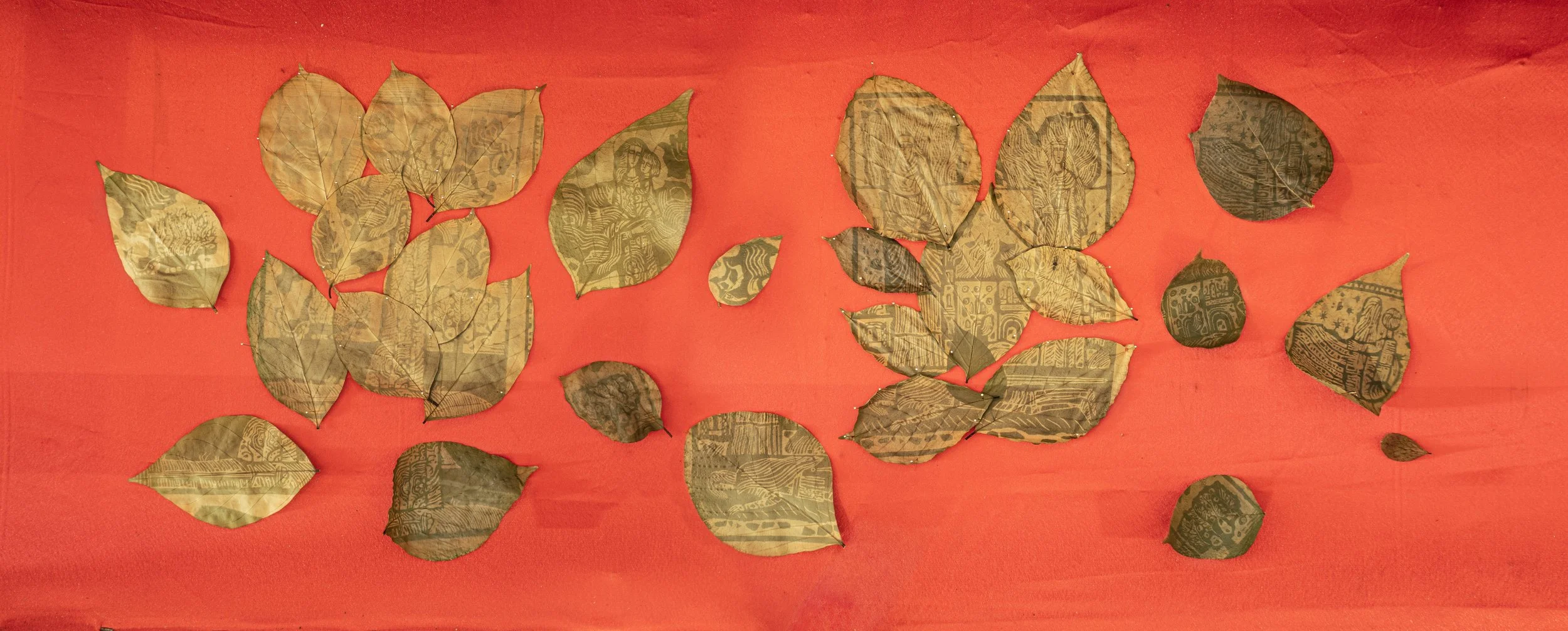 IMG_2352 sadauto.jpeg