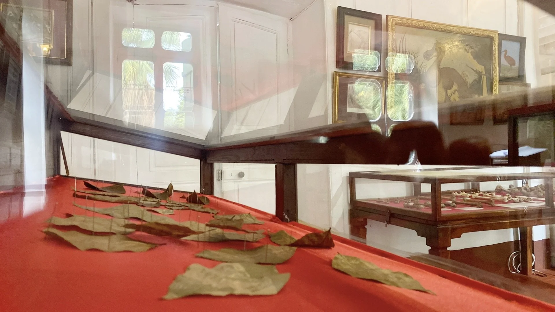 IMG_7177 sadauto.jpeg