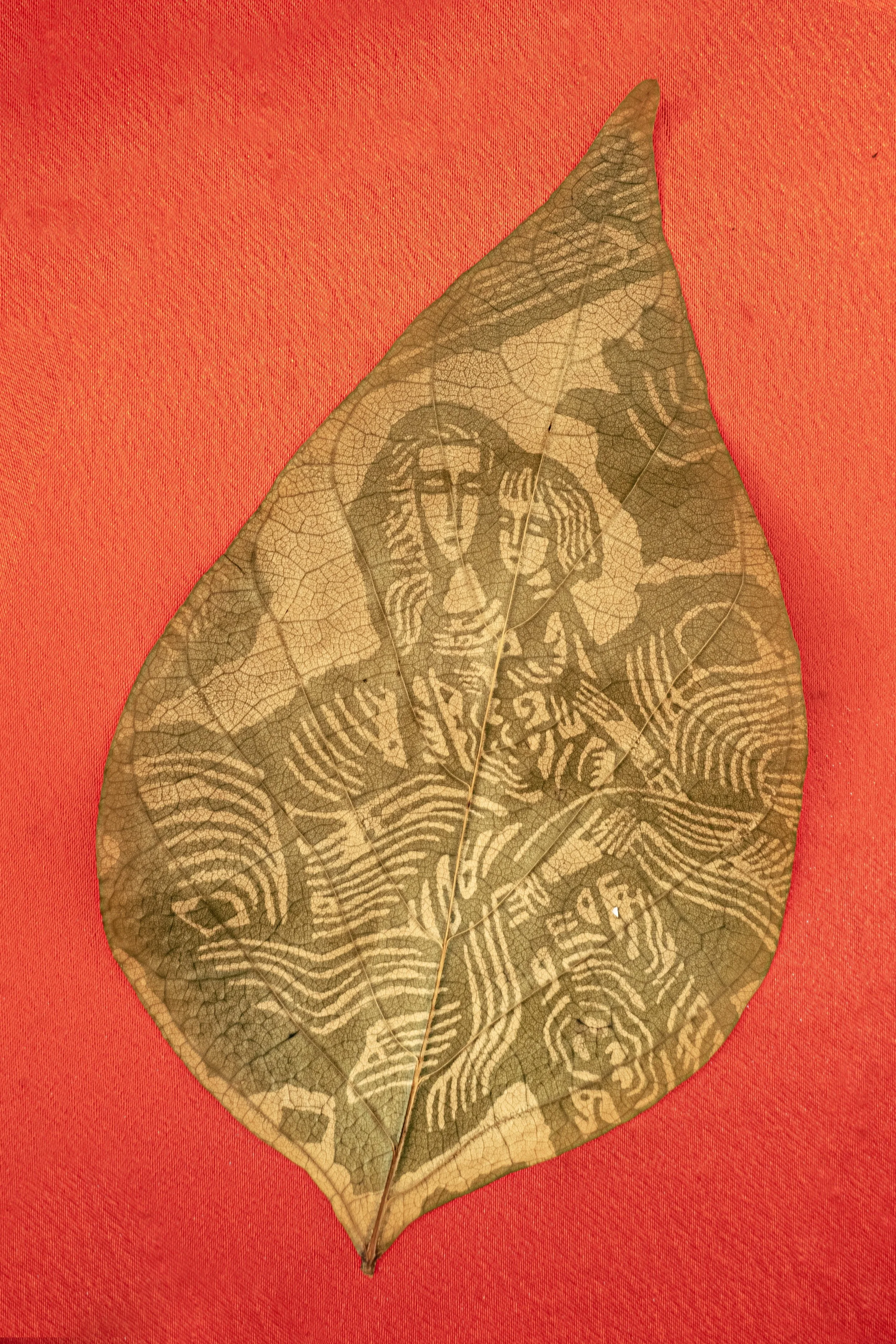 IMG_2376 sadauto.jpeg