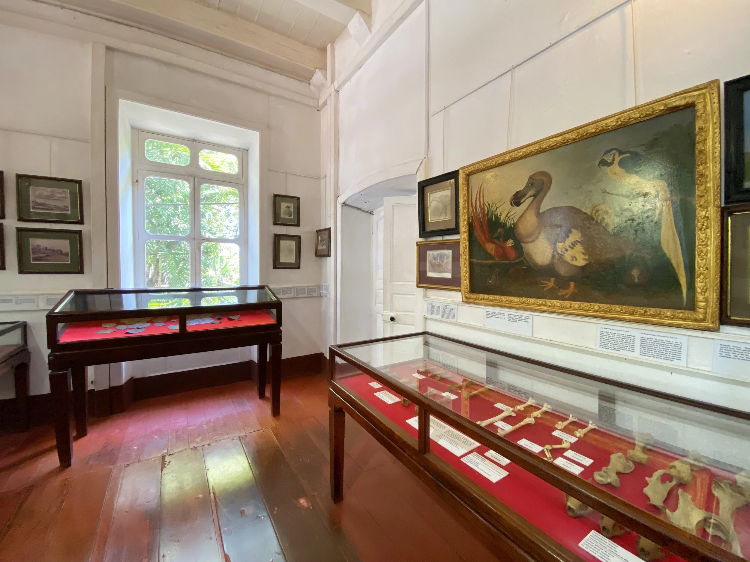 IMG_7017 sadauto.jpeg