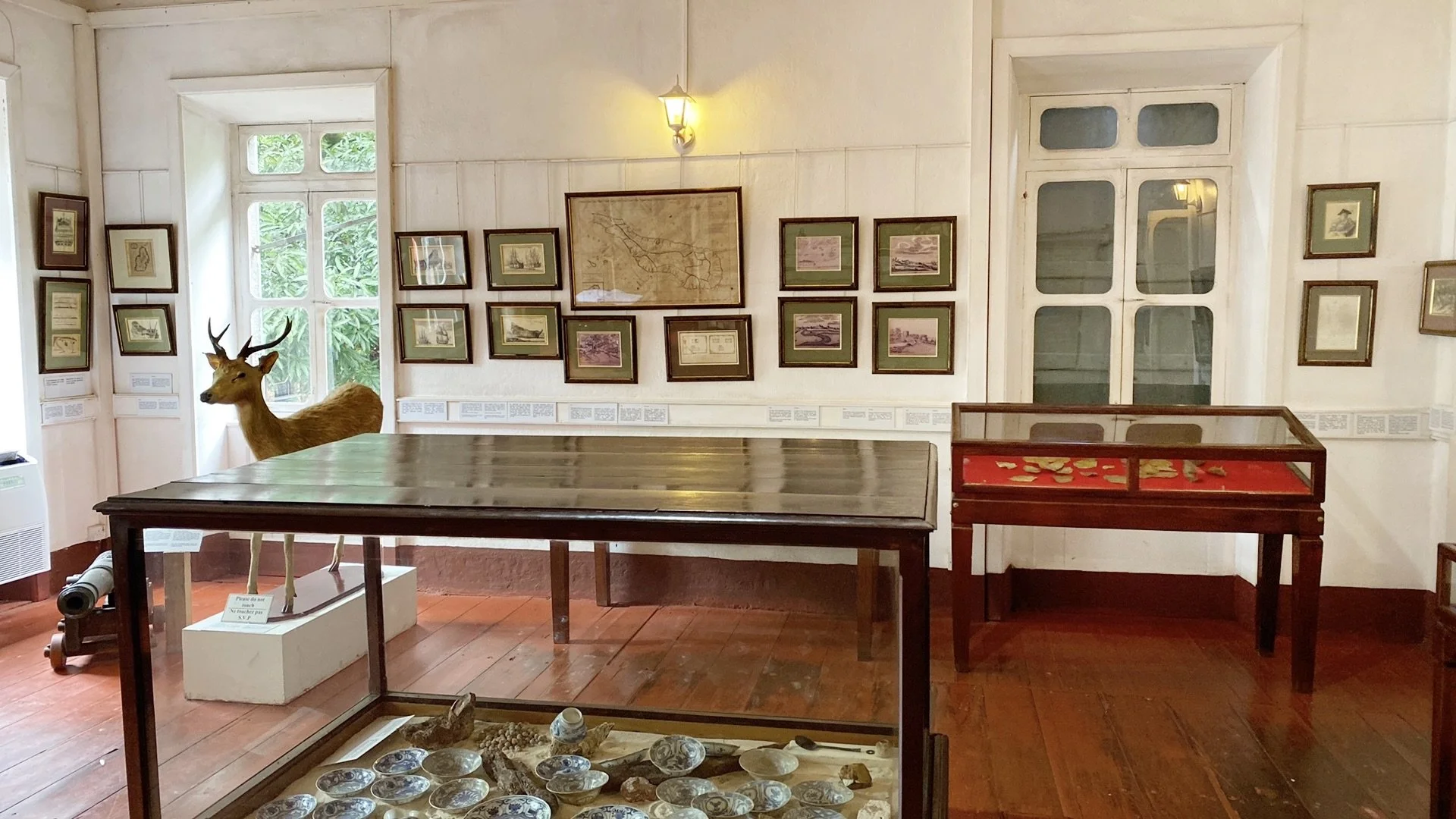 IMG_7156 sadauto.jpeg