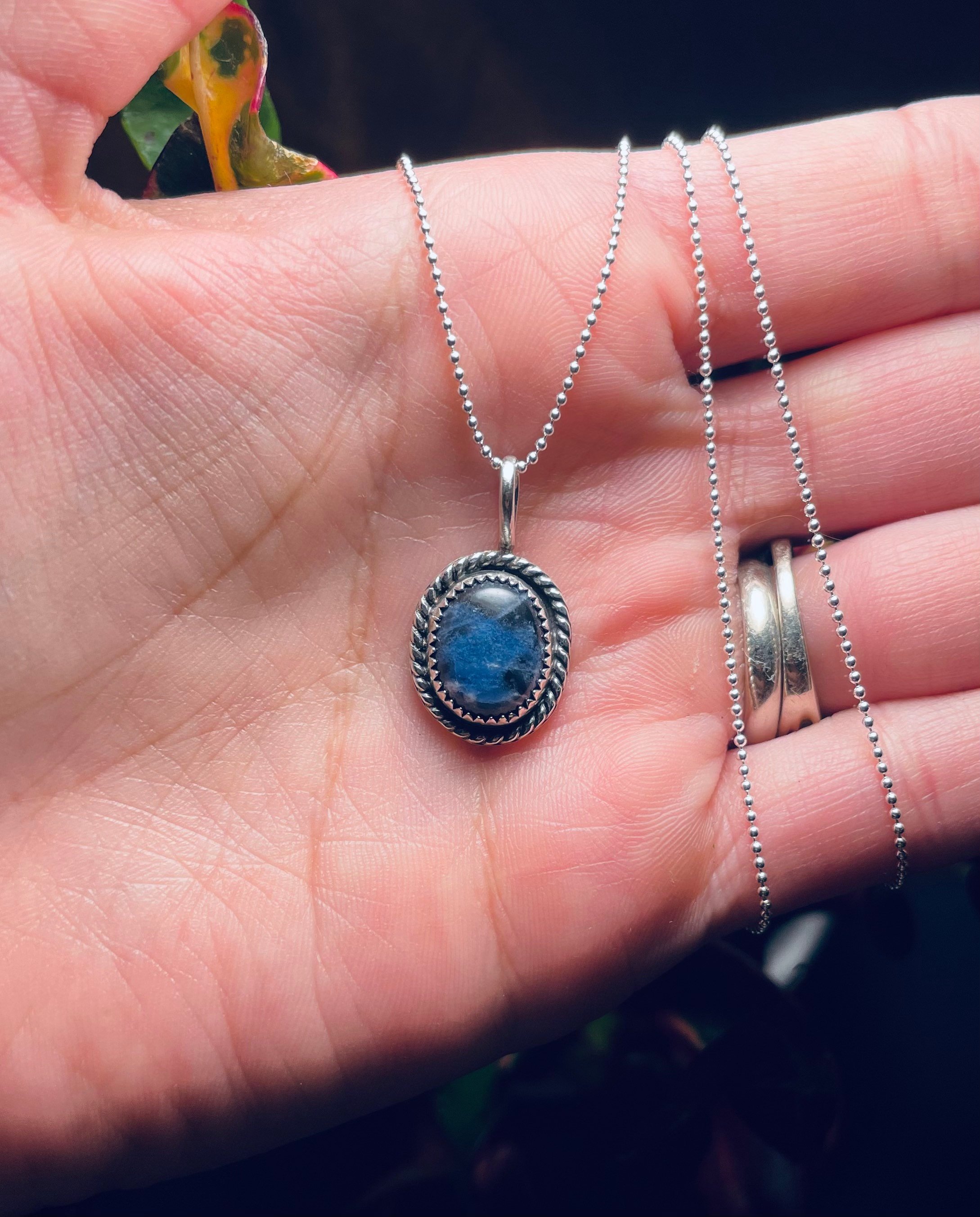 https://i.etsystatic.com/9873574/r/il/9dfc35/3913690266/il_fullxfull.3913690266_hnpv.jpg