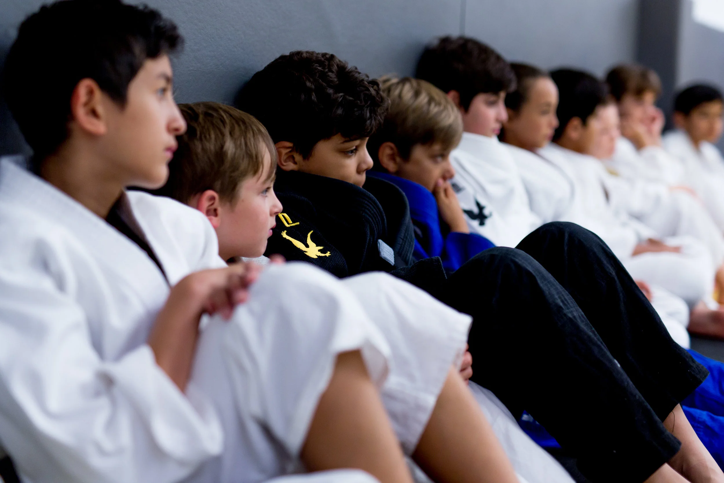 Martial arts kids lewes