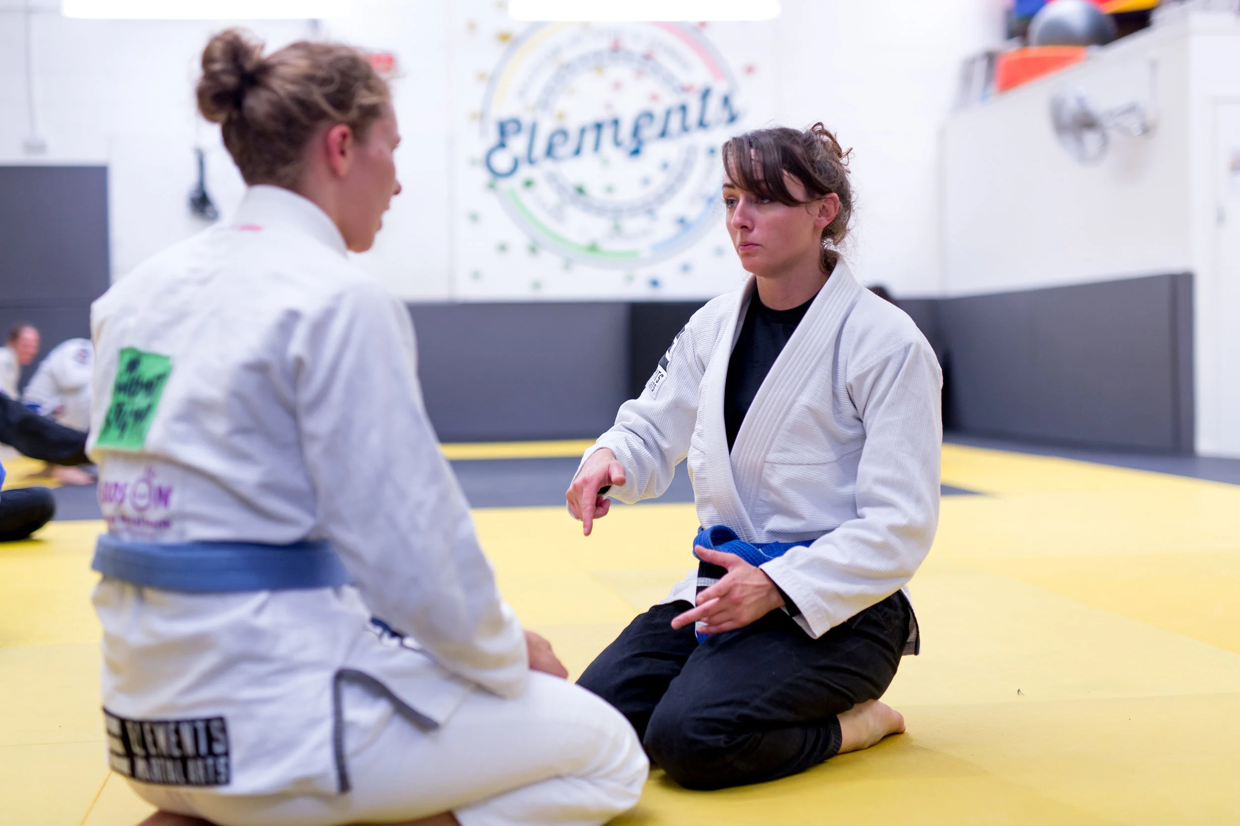 Elements Lewes Martial Arts BJJ Brazillian Jiu Jitsu