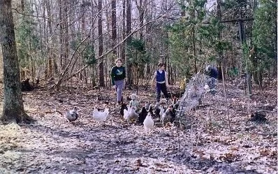 Growing Up Off-Grid: Interview with a Traditional Skills Pioneer