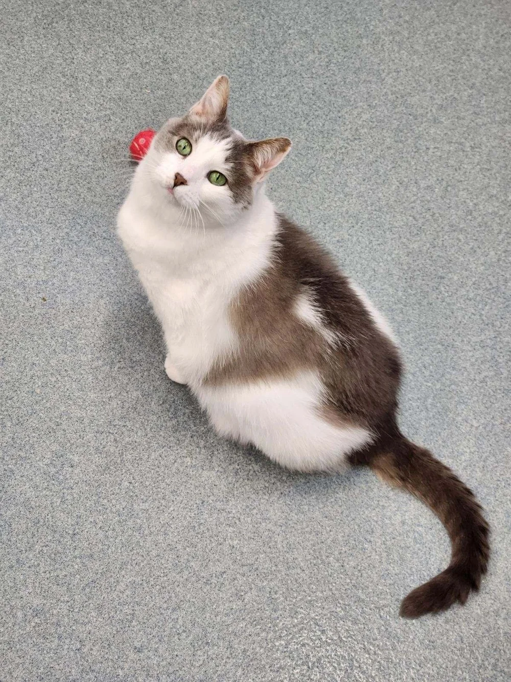 image000000.JPG?format=1000w