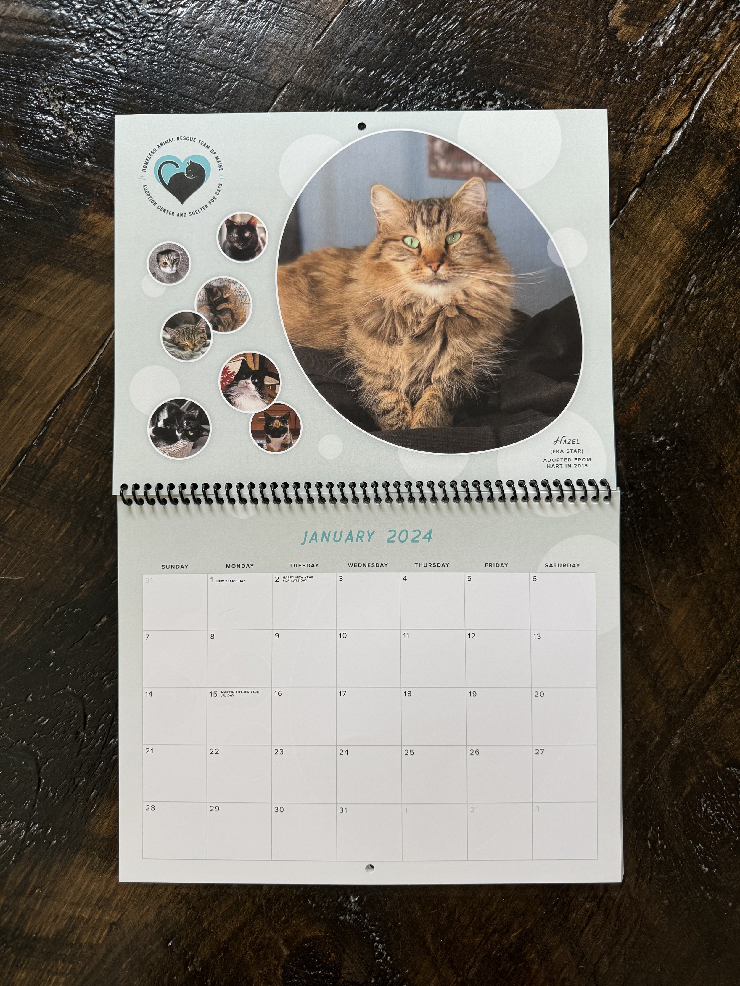 Vintage HART Canned Food Lids — HART of Maine Adoption Center