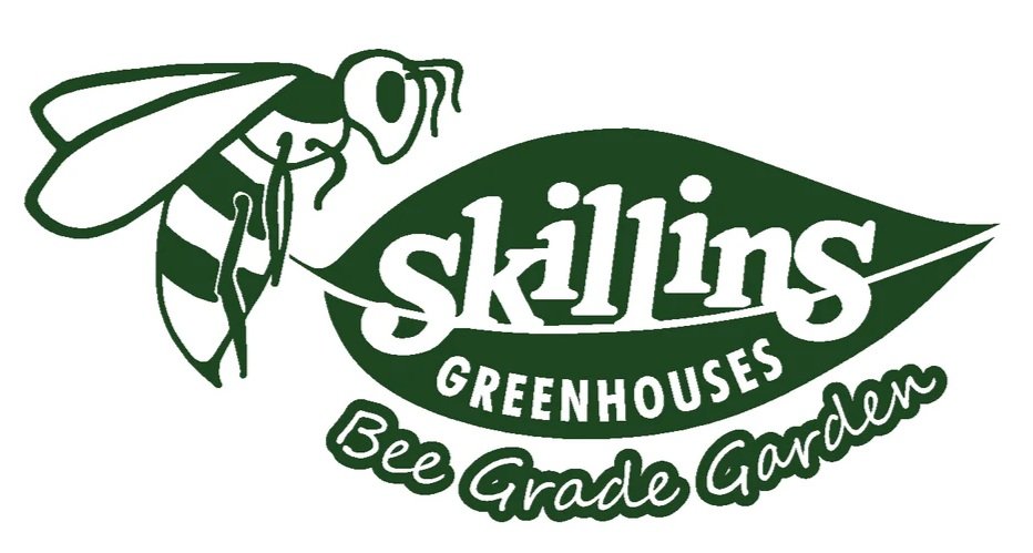 Skillins-Bee-Graphic_1244x500.jpg