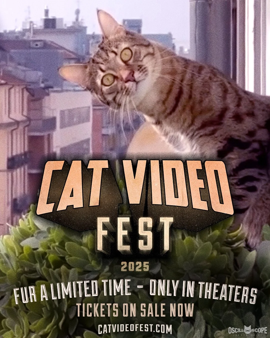 Cat VideoFest 2025