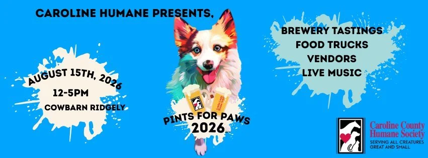 Pints for Paws