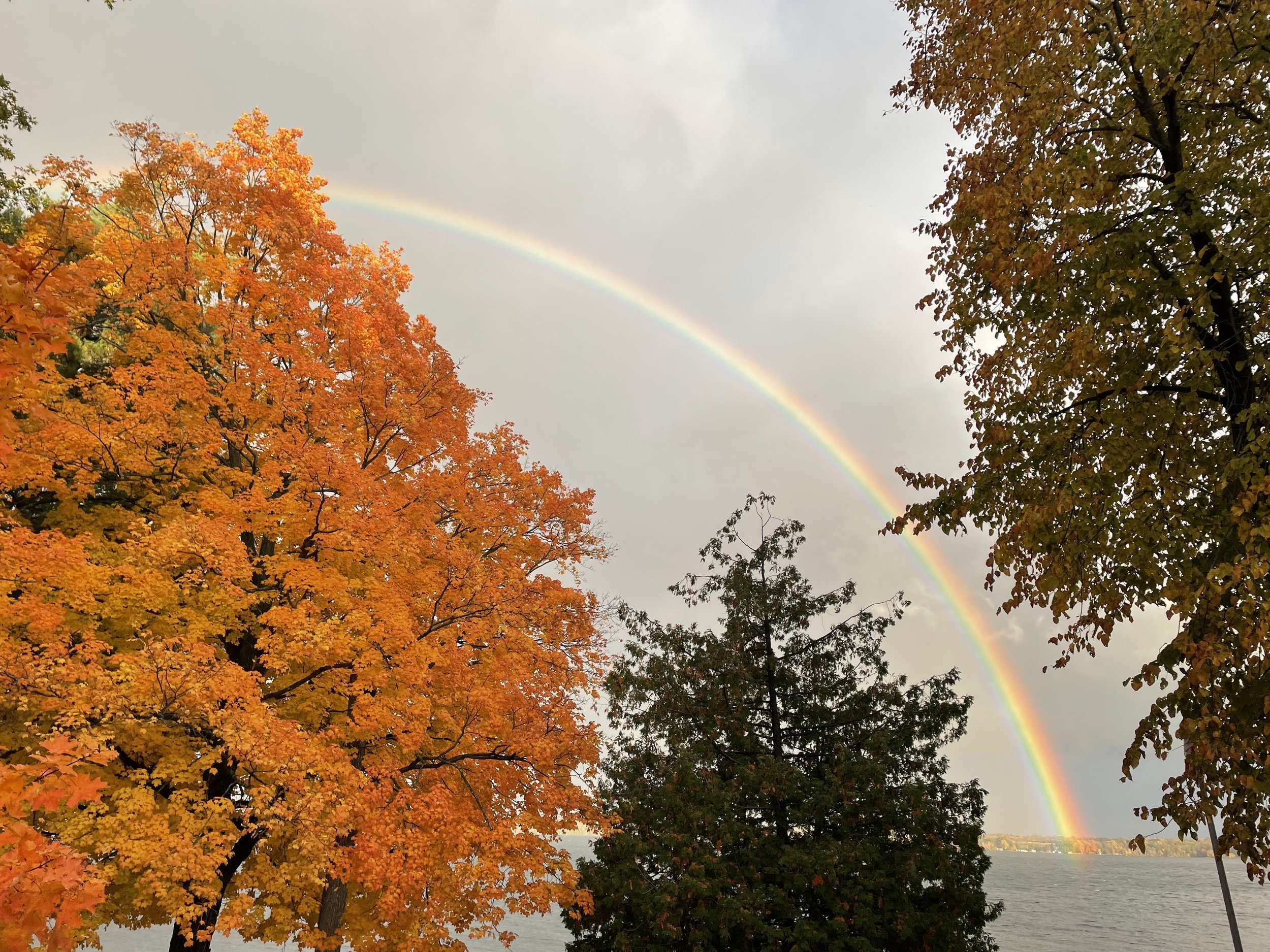 Submitted by Cathy Crockford