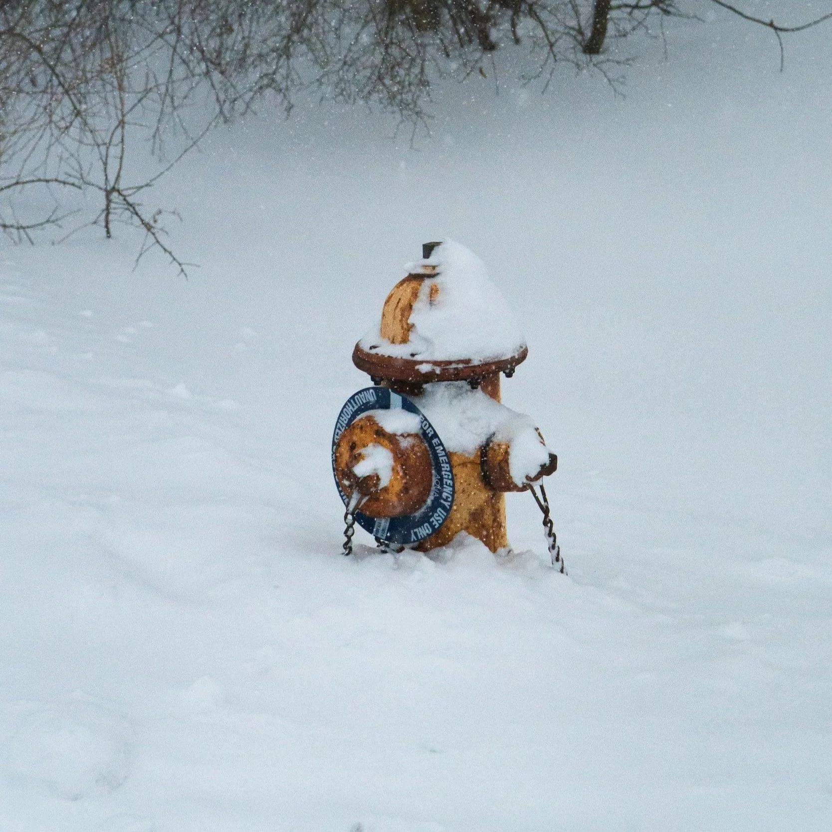 Fire Hydrant Rescue