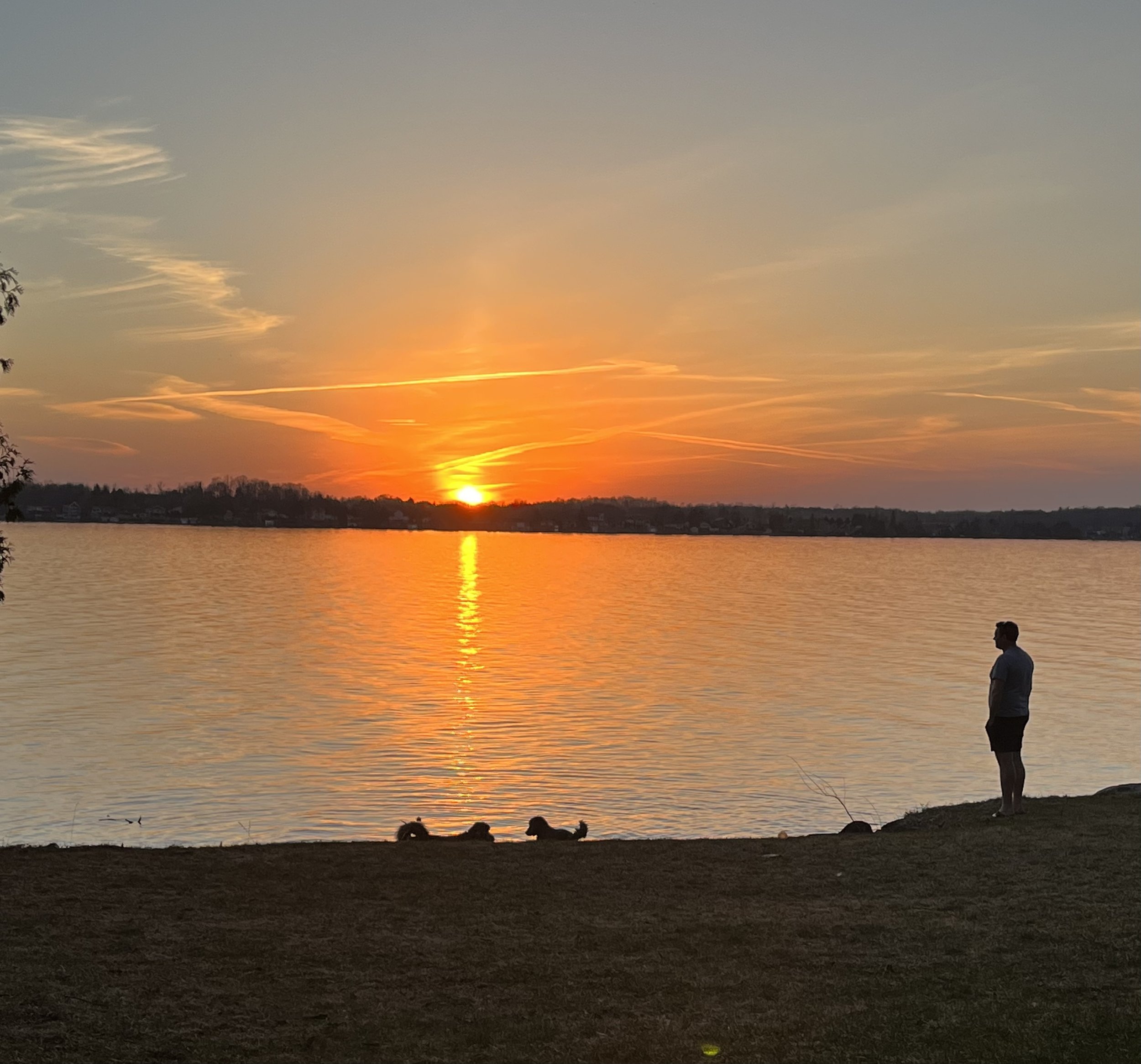Submitted by Catherine Kiernan