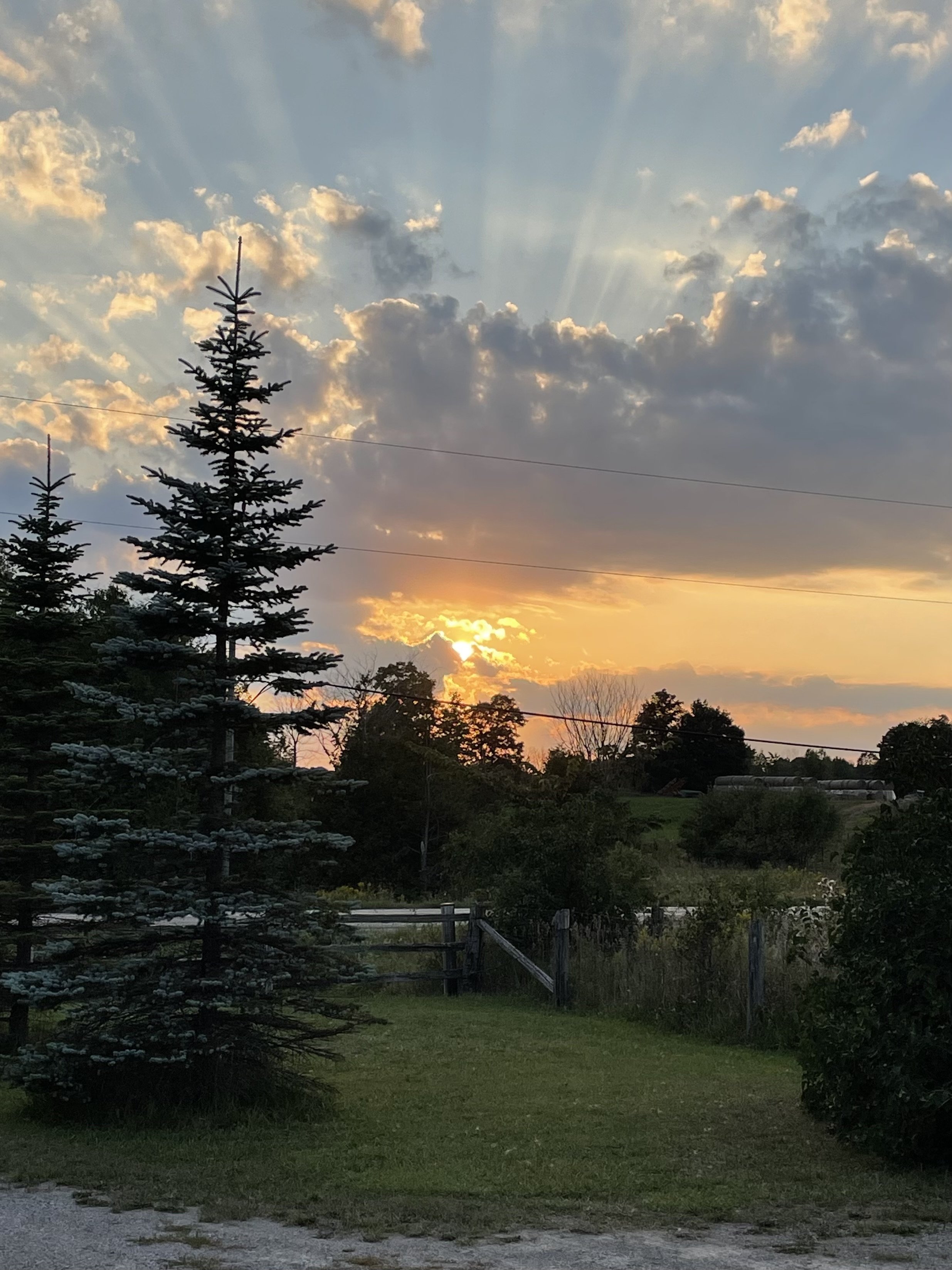 Submitted by Anne Gamsby