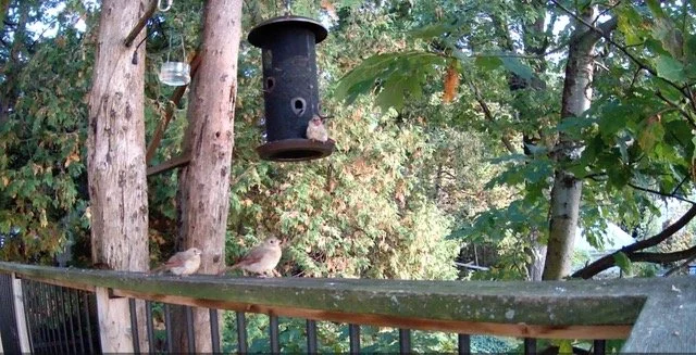 Submitted by Bruce &amp; Diana