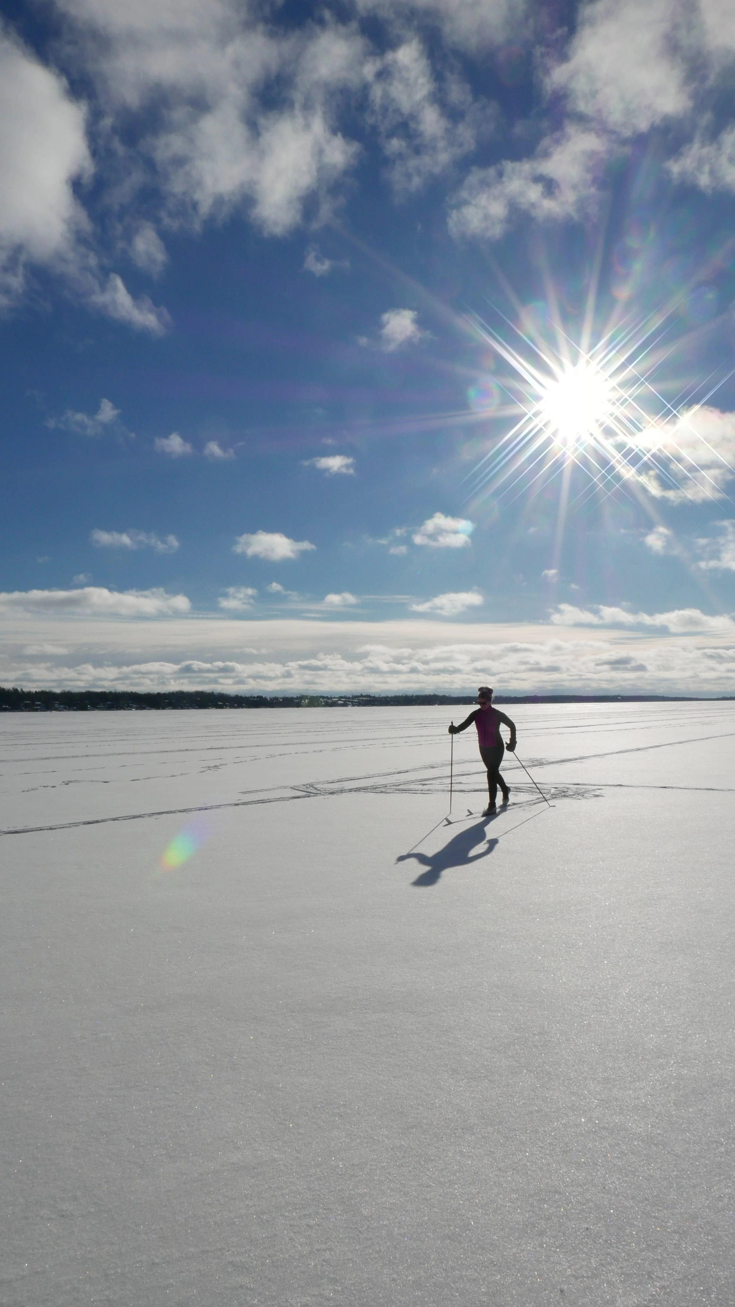 Photo Round Up - February 6th, 2025 — Explore Fenelon Falls