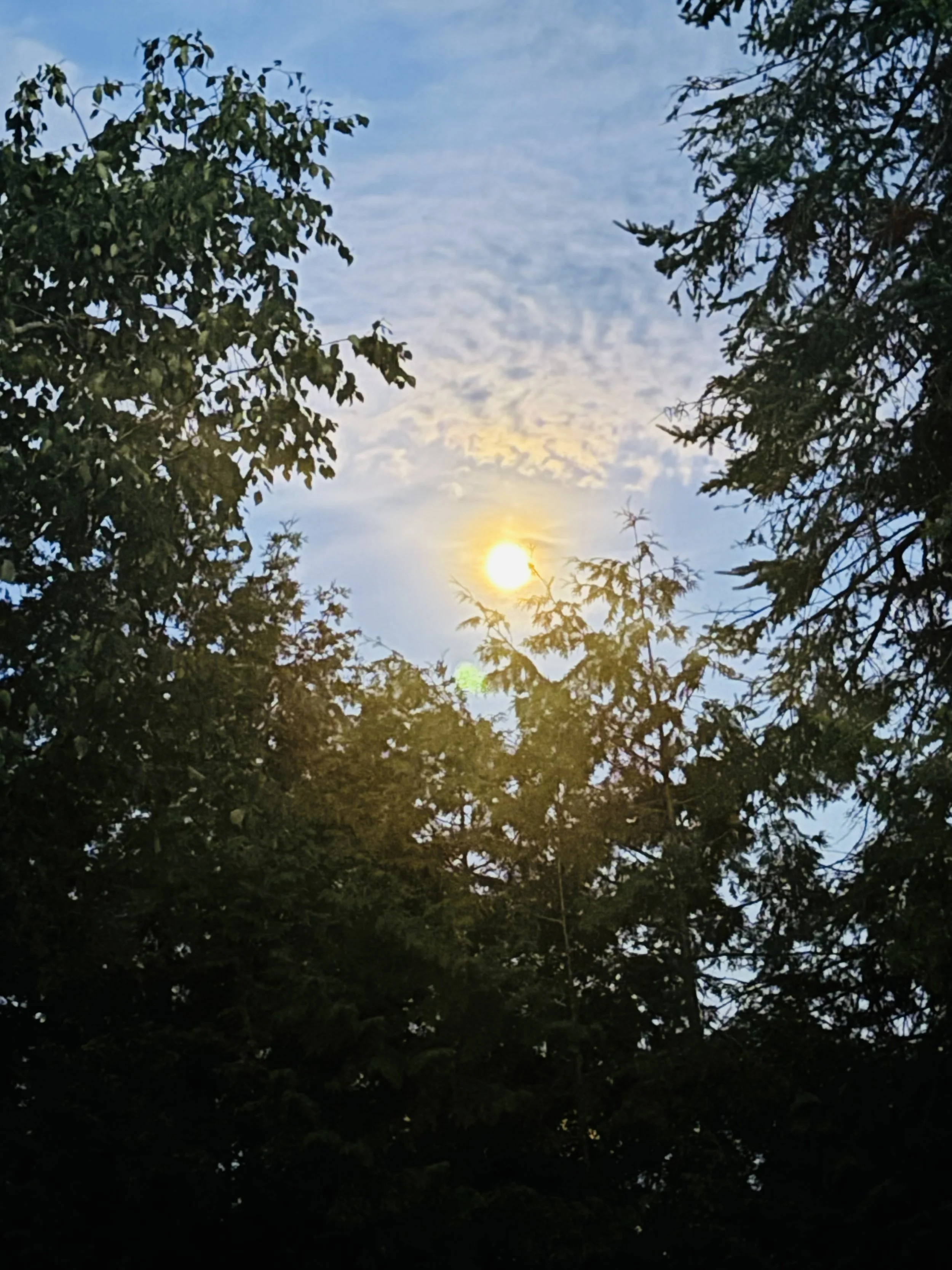 Submitted by Lue-Ann Swanson