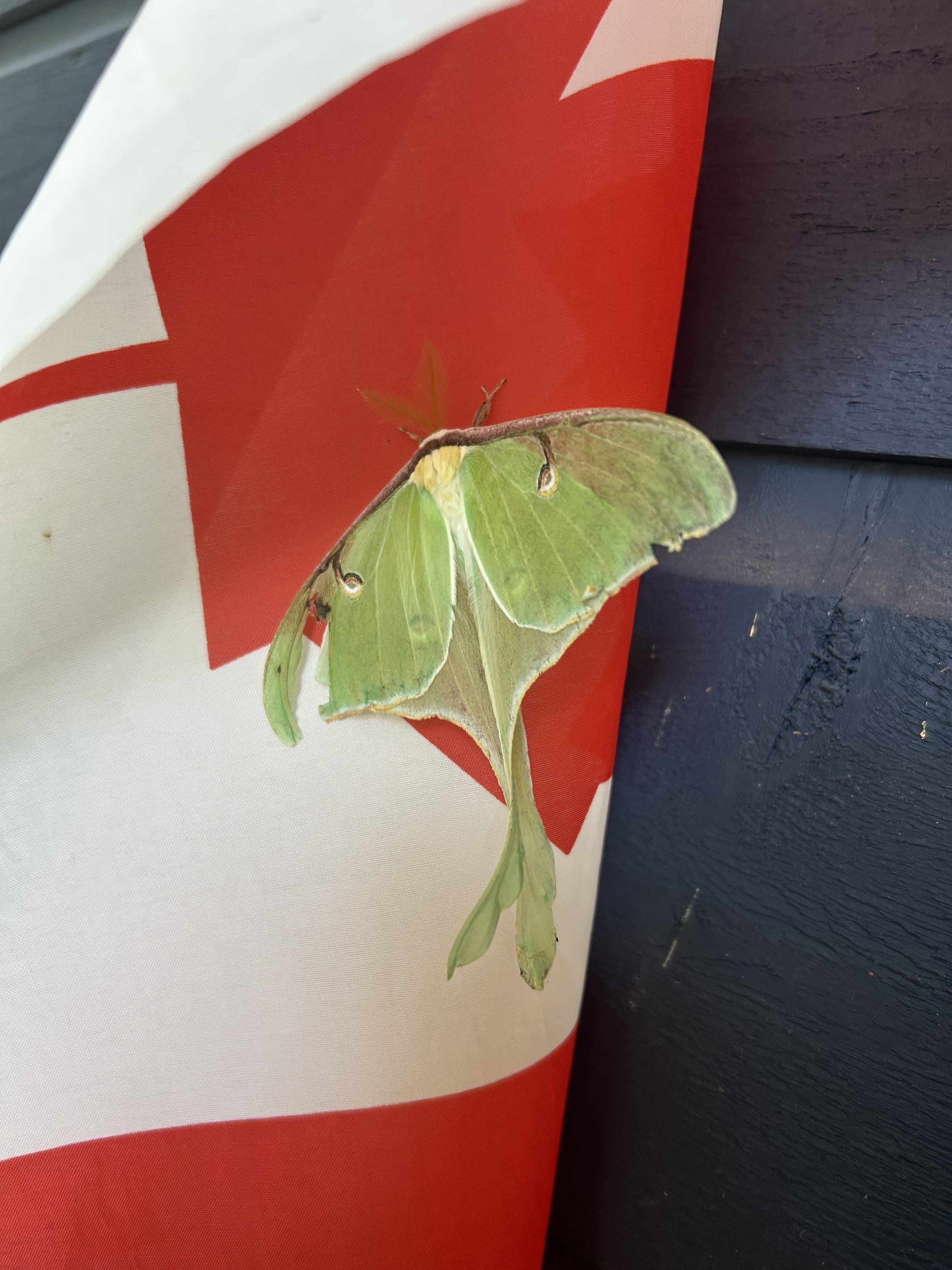 Photo Round Up - July 10th, 2025