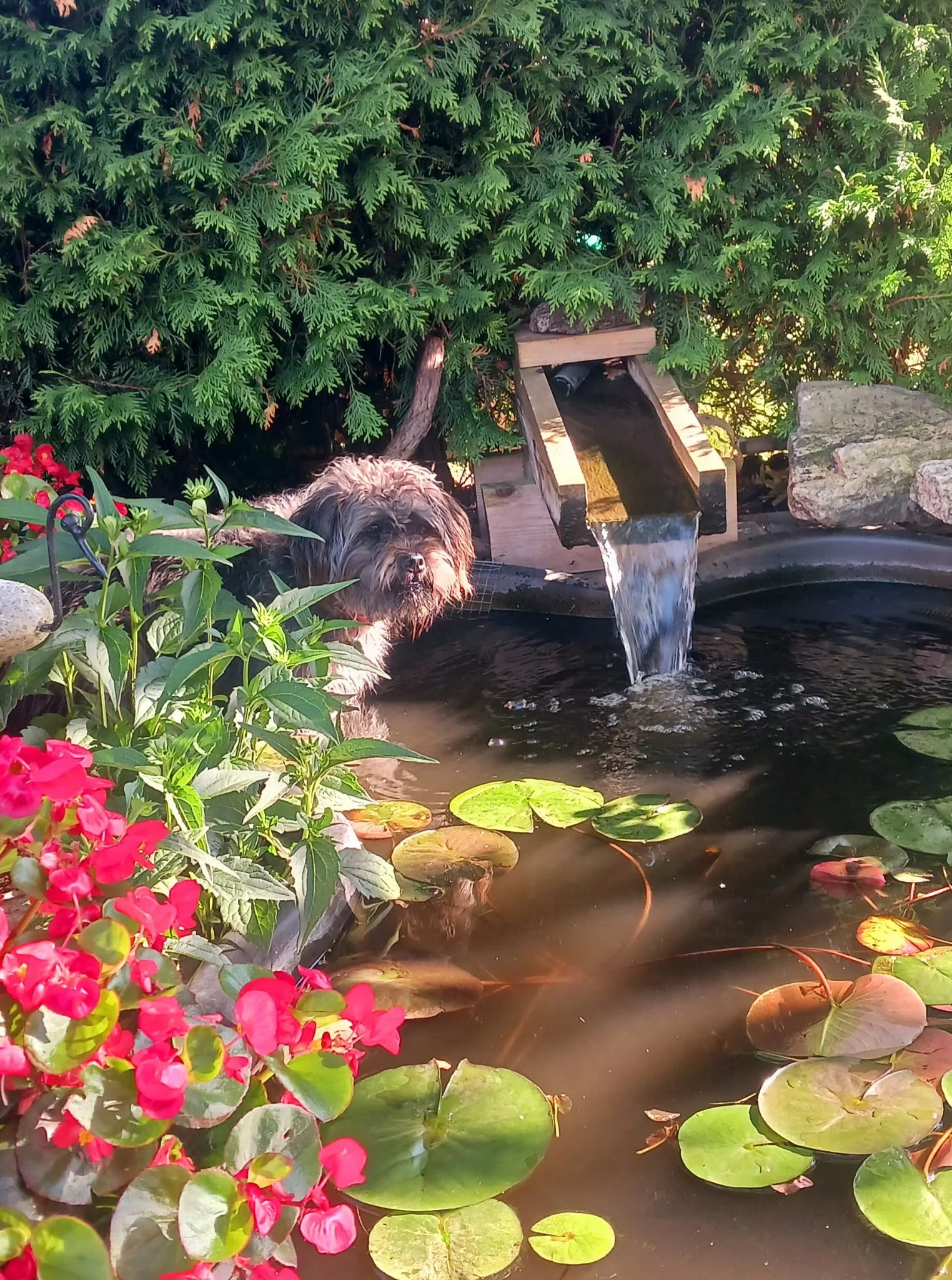 Photo Round Up - July 17th, 2025