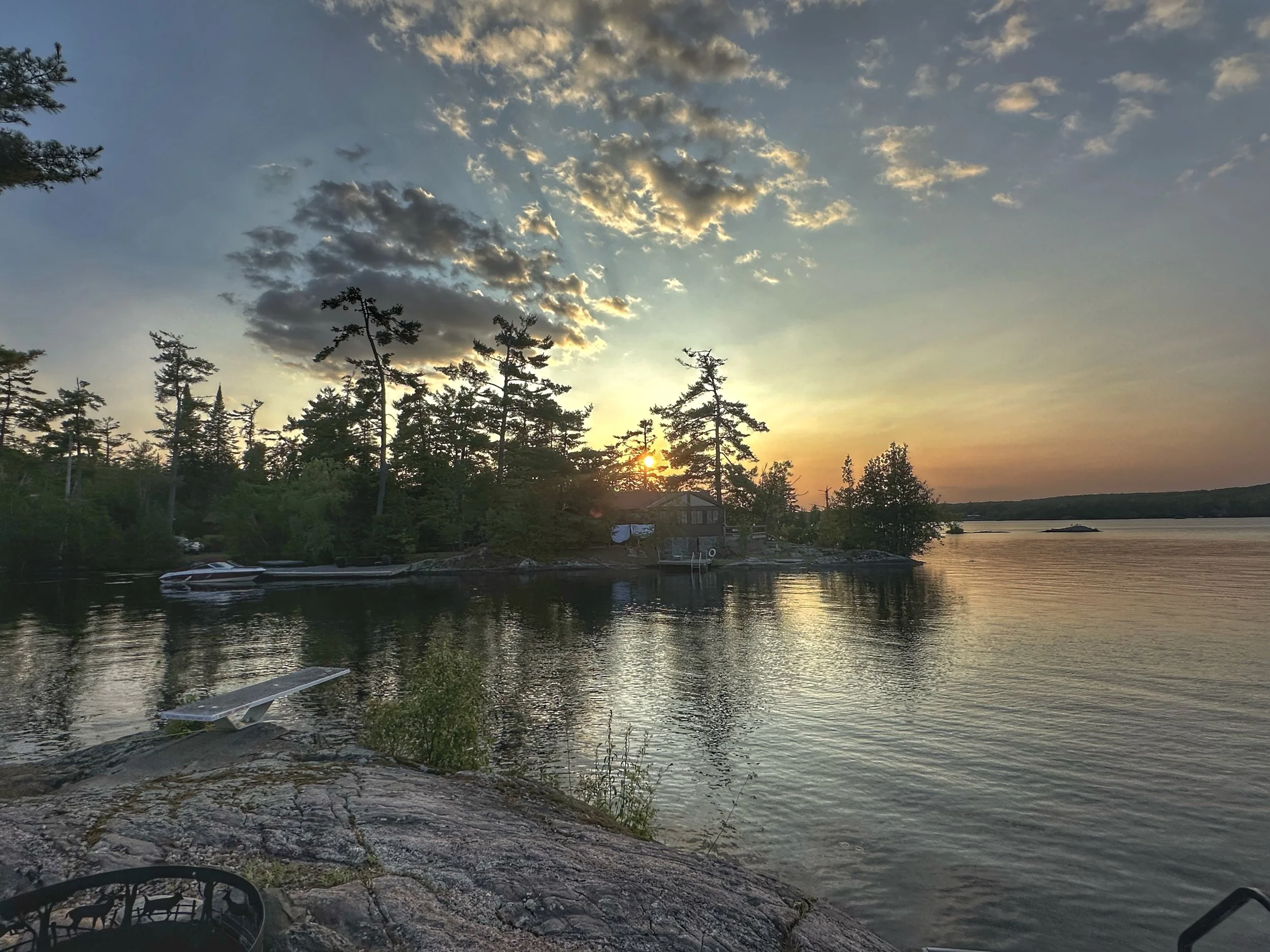 Submitted by Shelley Fine