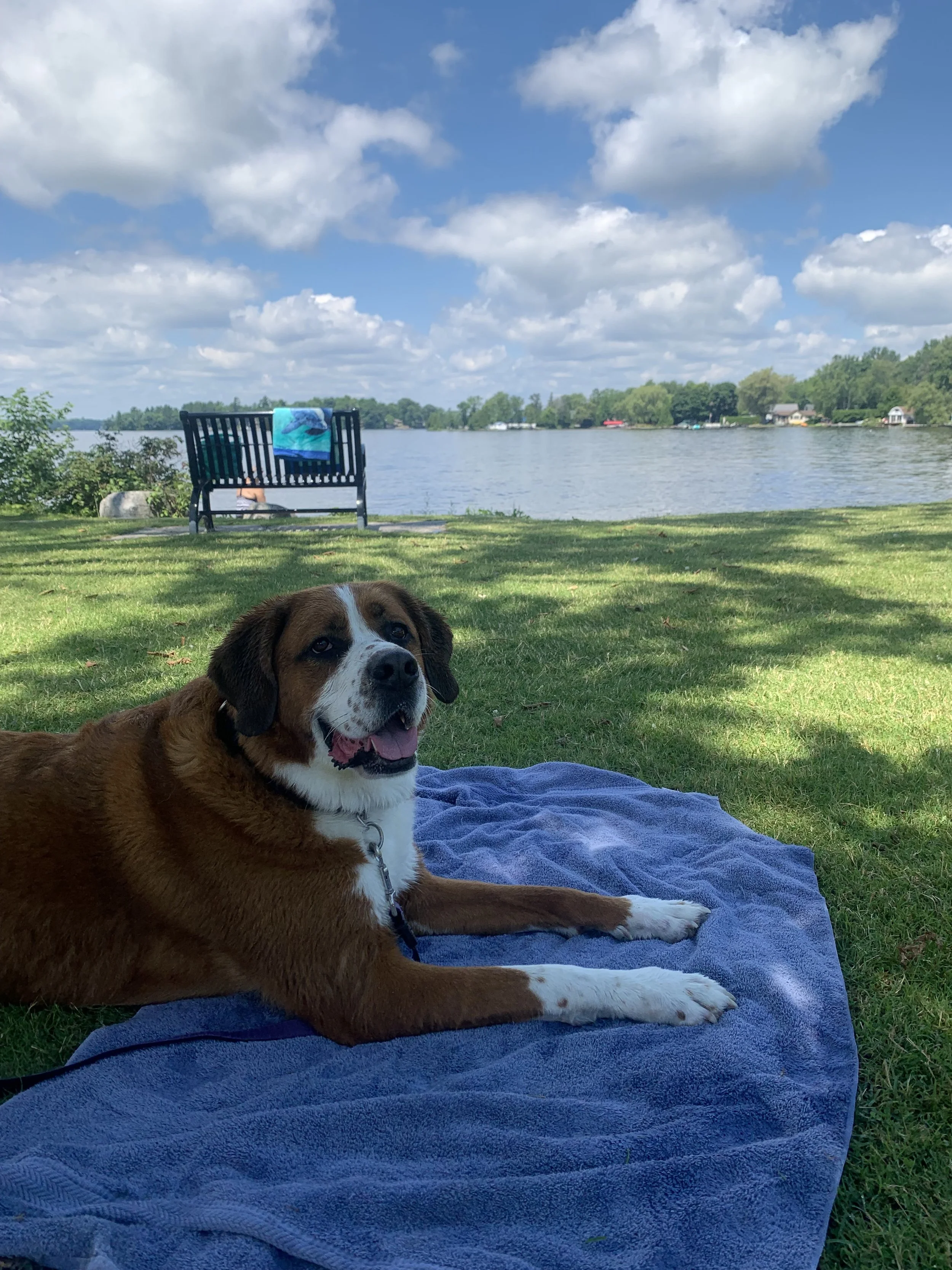 Submitted by Sarah Reanne Brydon