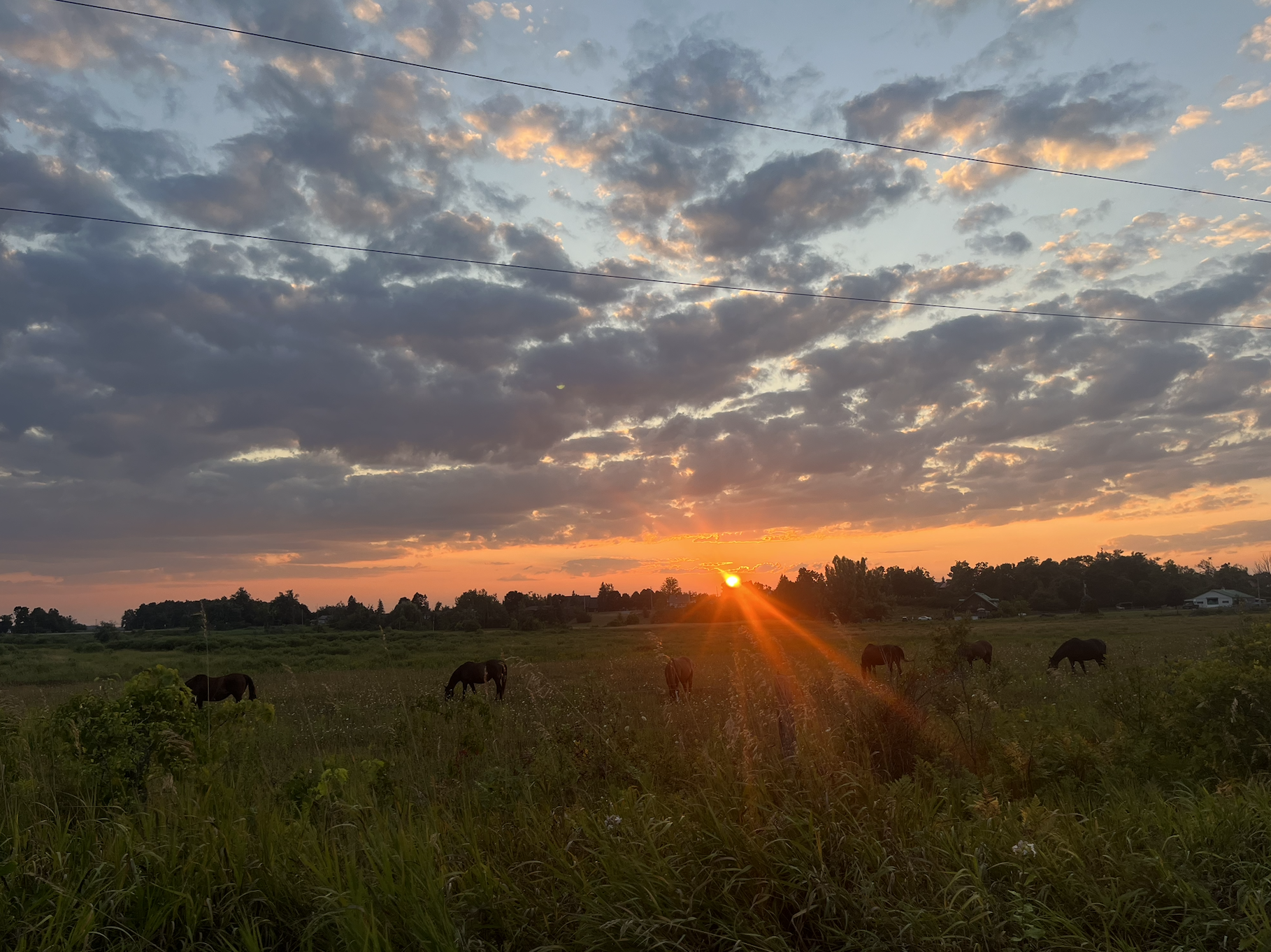 Photo Round Up - August 7th, 2025