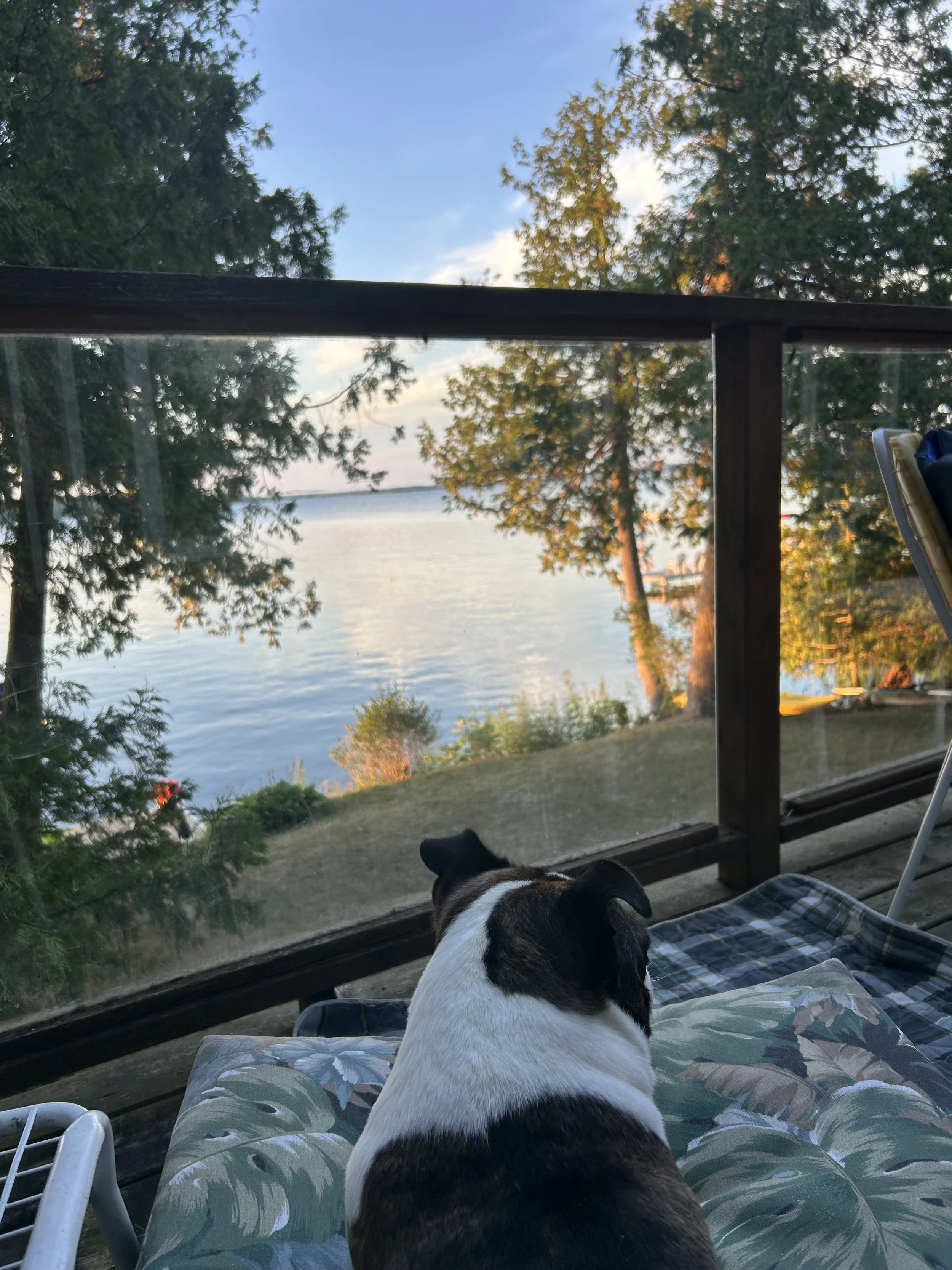 Submitted by Susan Bean