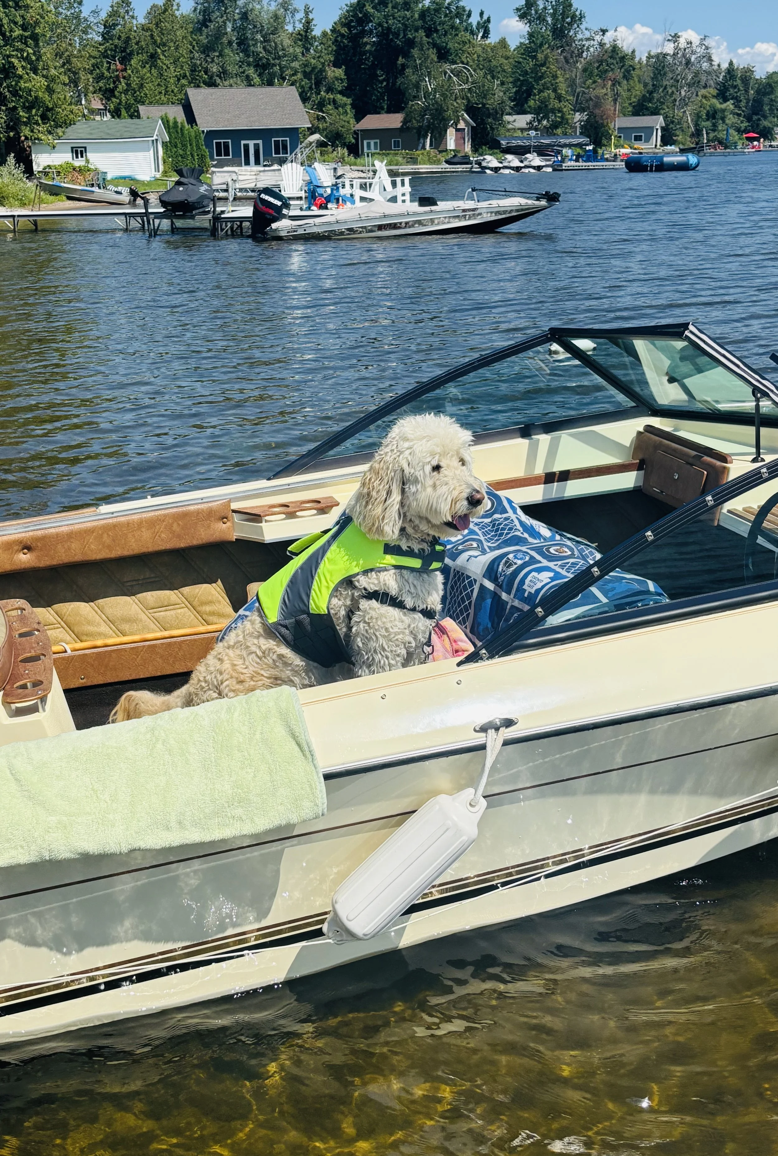 Submitted by Lue -Ann Swanson
