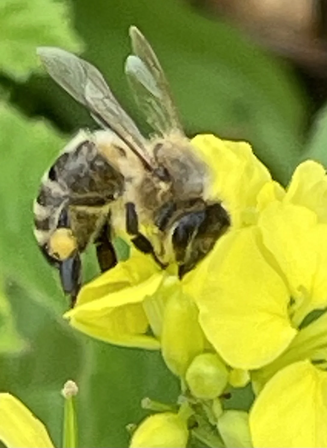 IMG_0692.jpeg