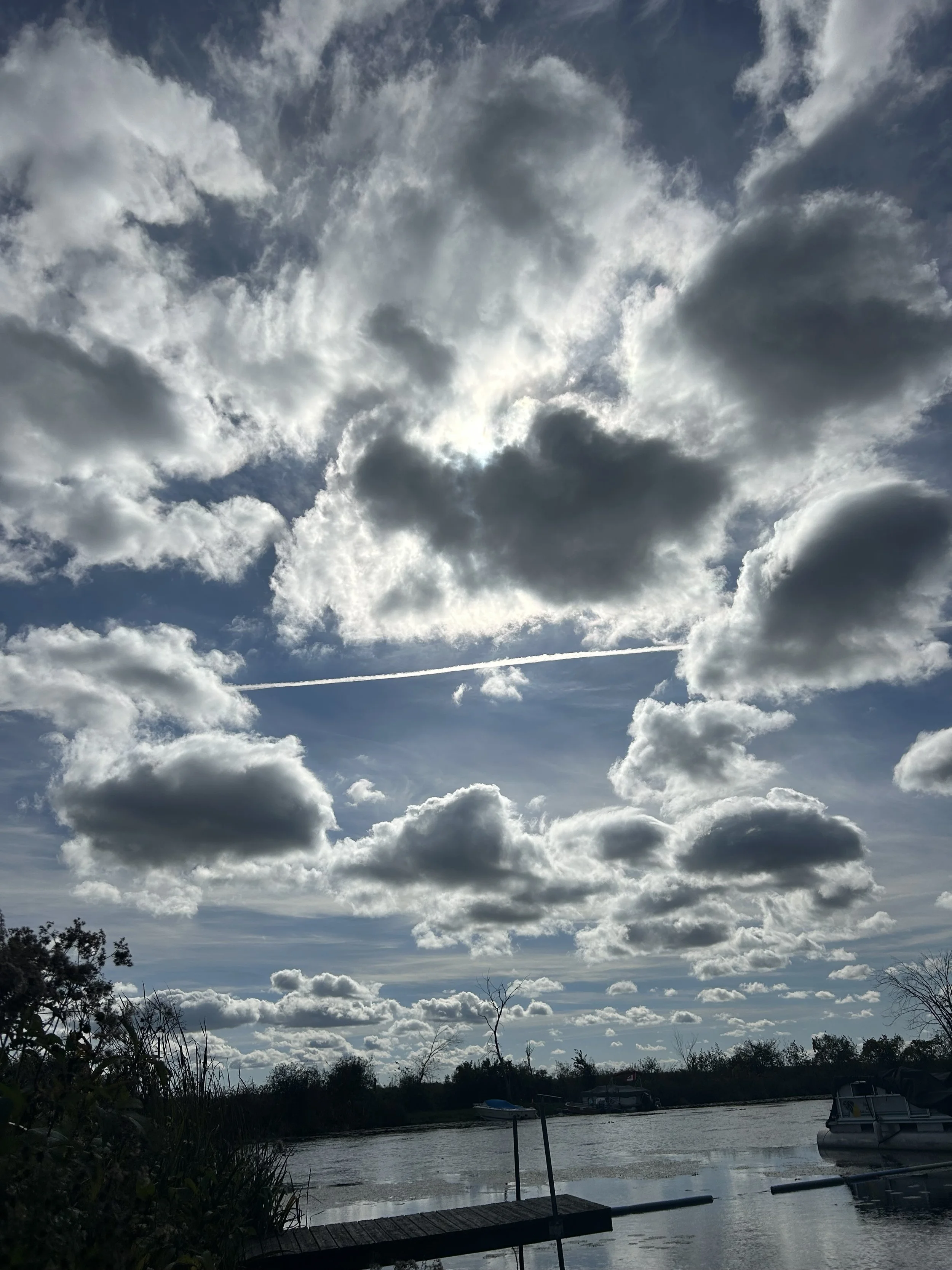 Submitted by Wanda Tsiakos