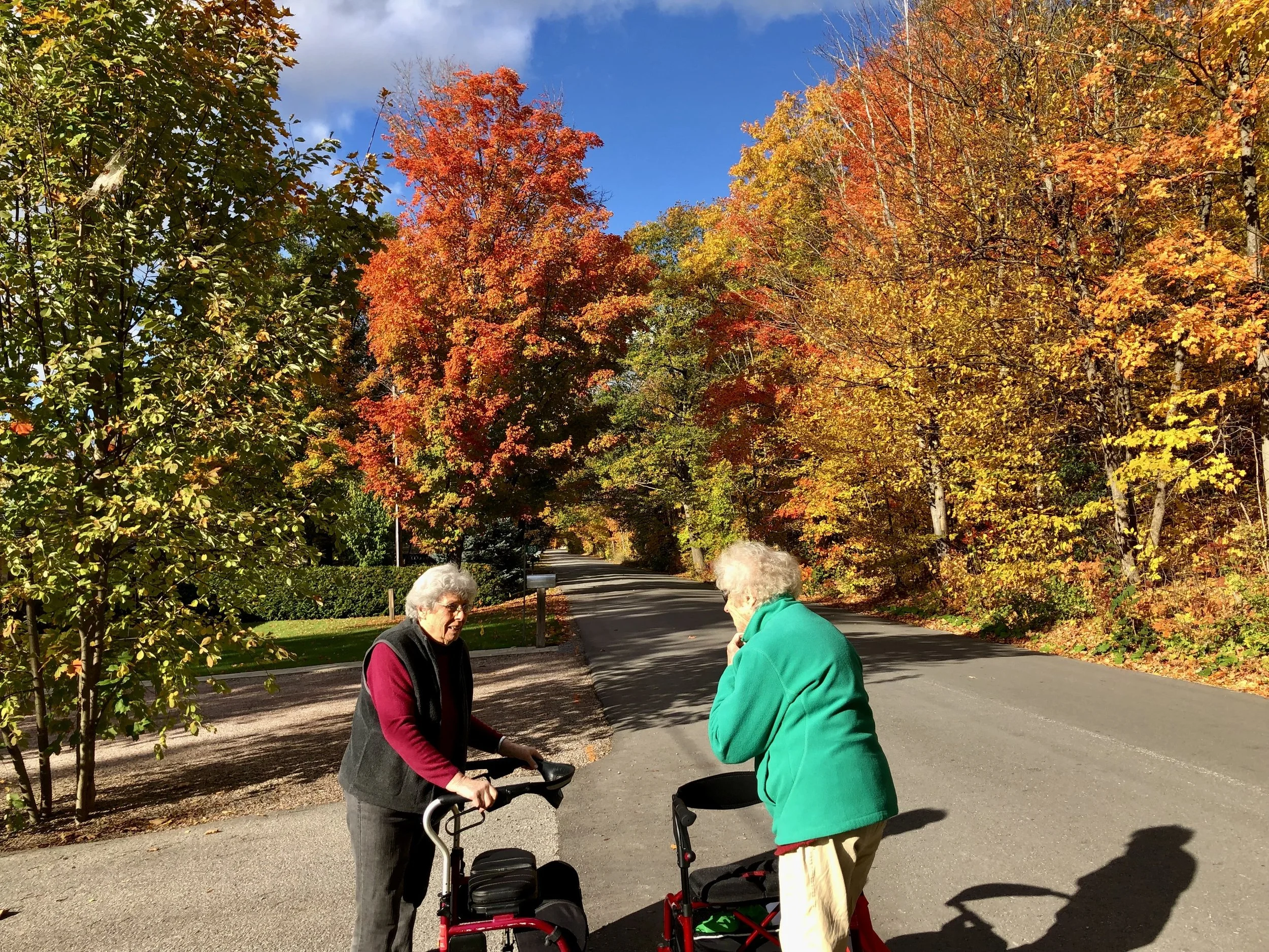 Photo Round Up - October 23rd, 2025