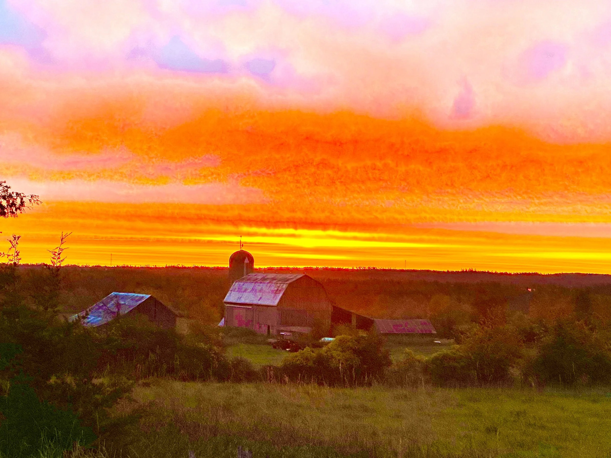 Submitted by Annabelle Murray