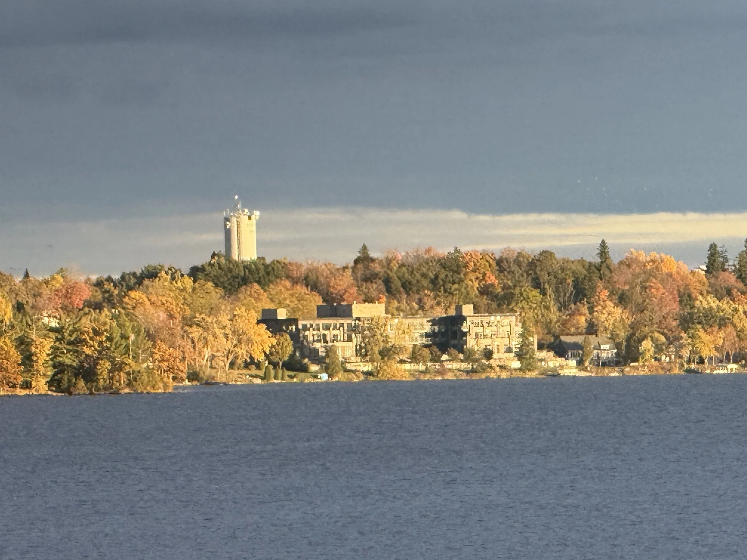 Submitted by Dan Jones