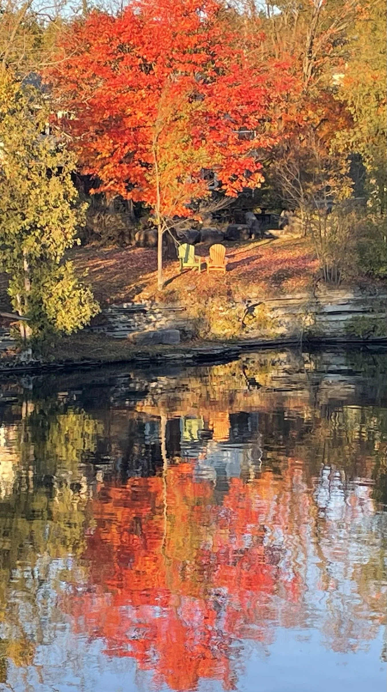 Submitted by Anne Yorke