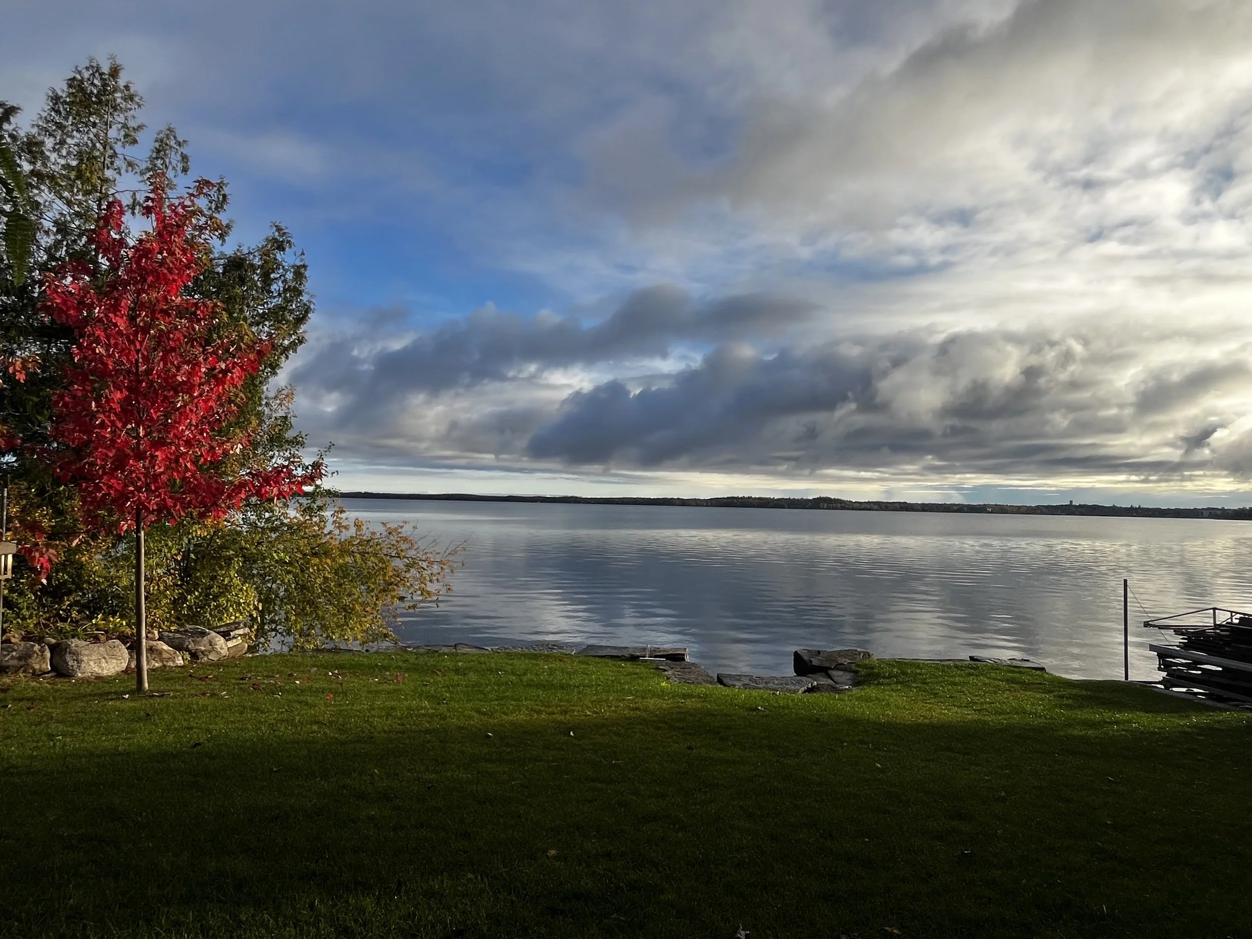 Submitted by Sarah Cardwell