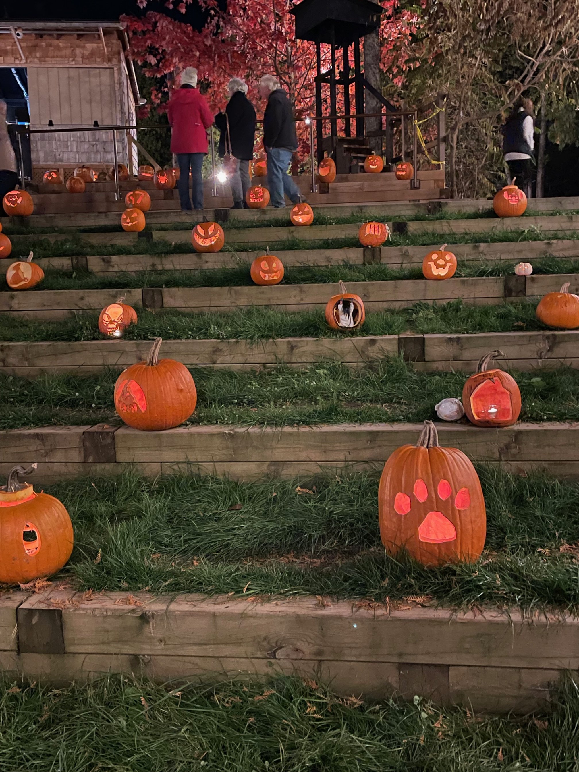 Submitted by Anne Gamsby