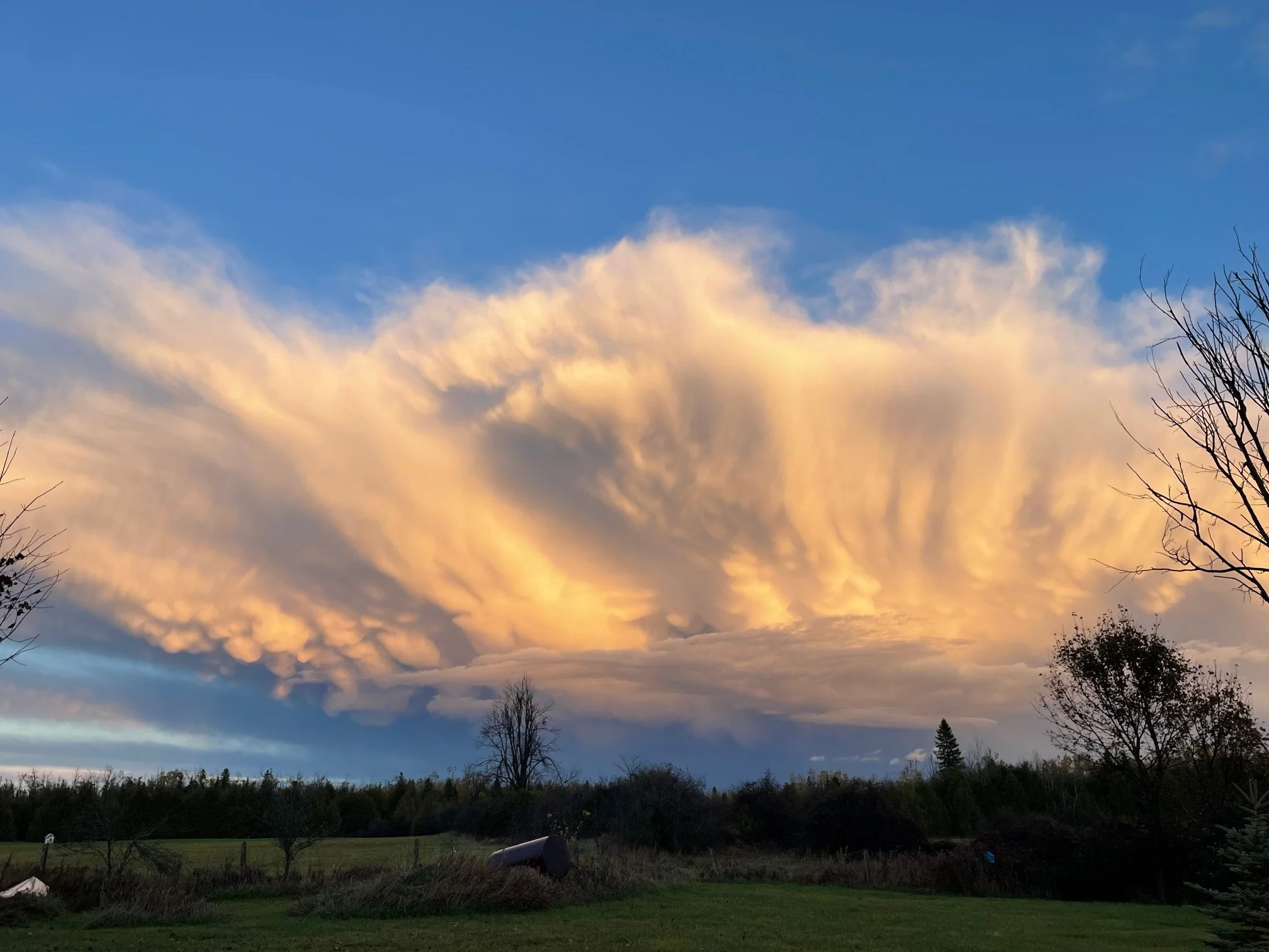 Submitted by Anne Gamsby