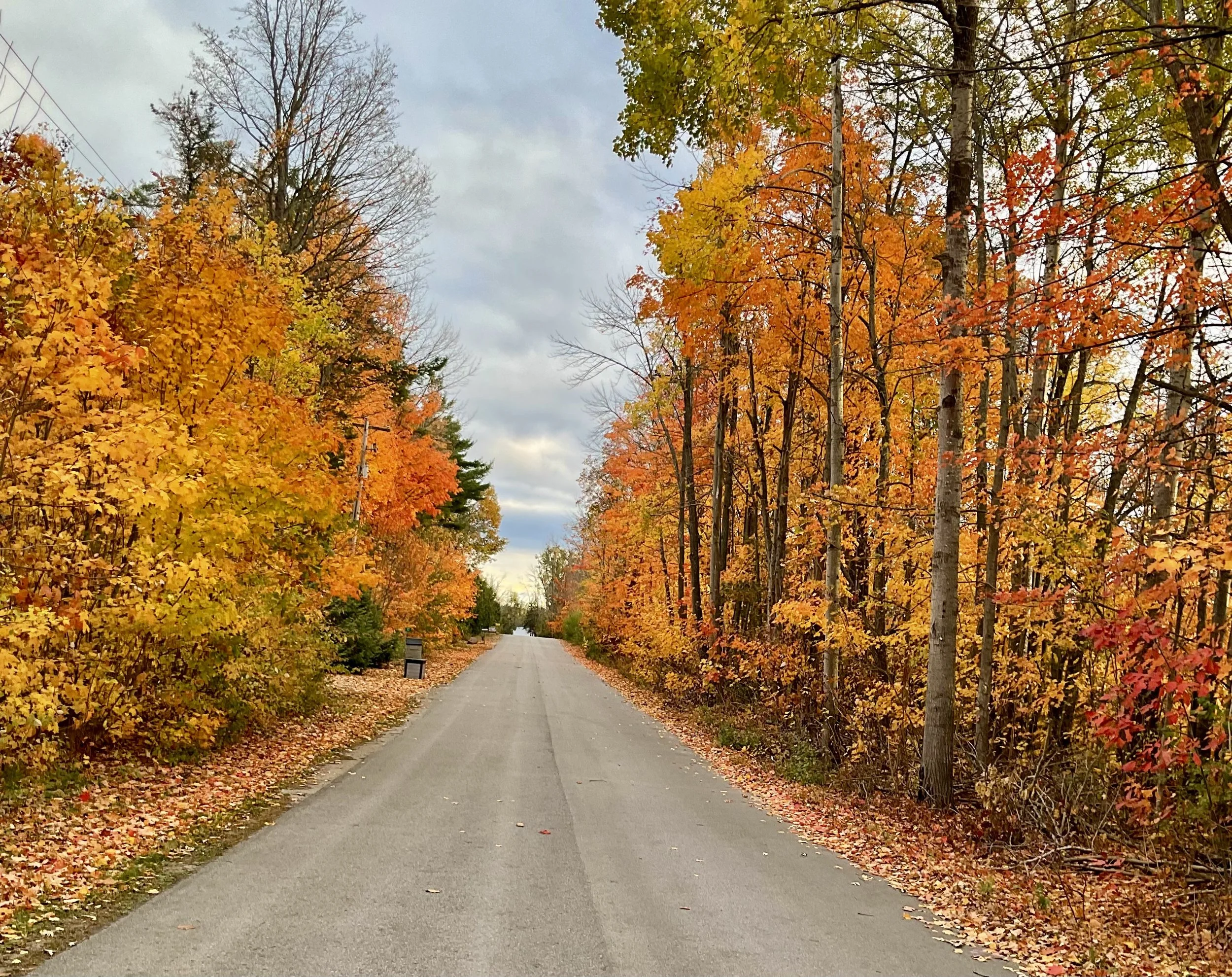 Submitted by Janice Laswick